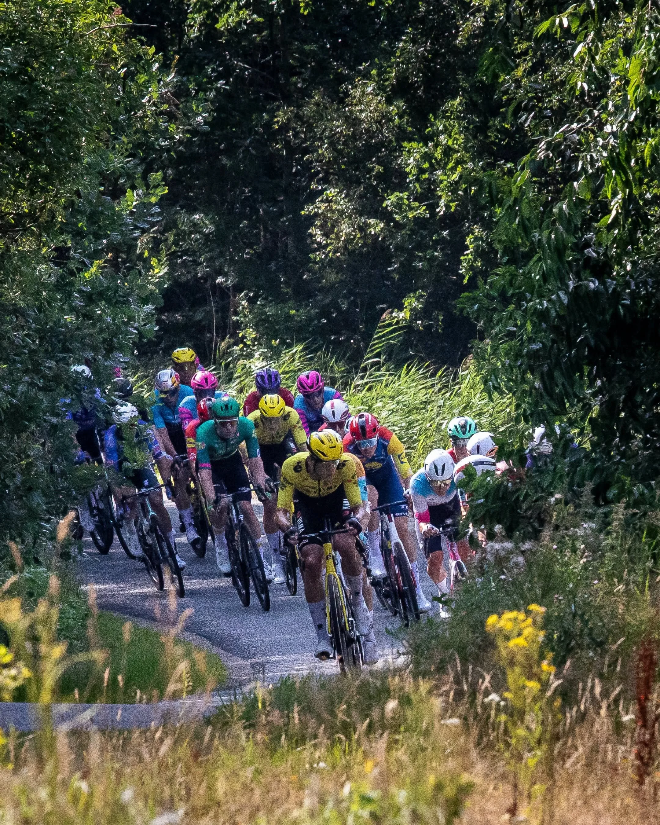 Team Visma Lease a bike professional cyclist, Ashlin Barry pulling the peloton at the 2026 Tour of Denmark.