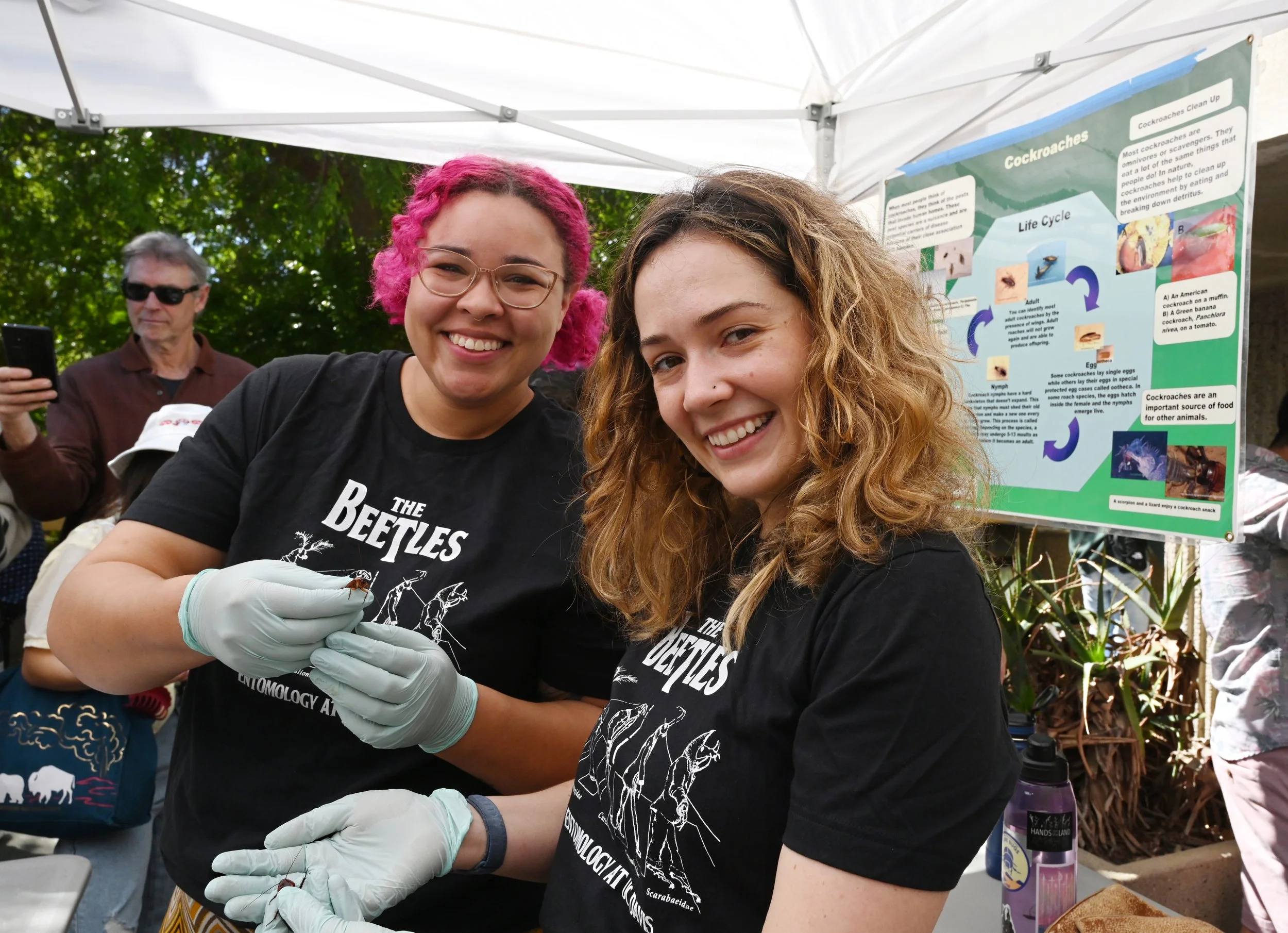 Cockroach Races at UC Davis Picnic Day 2023. Photo by Kathy Keatley Garvey