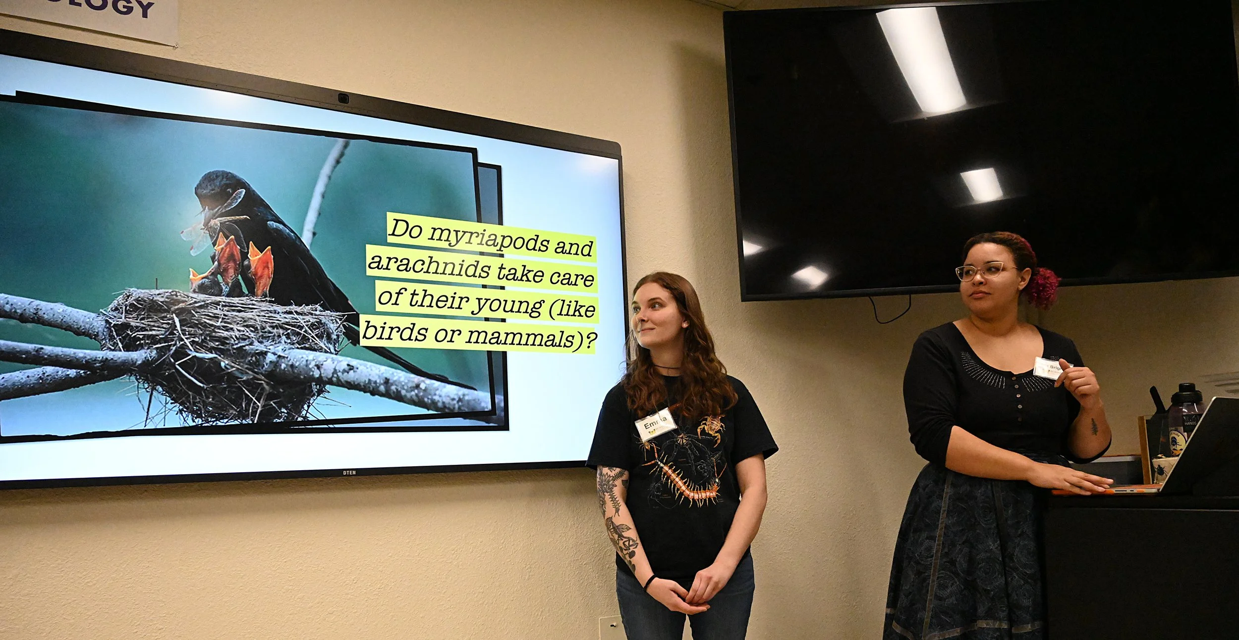A Q and A on myths around spiders and other creepy crawlies at the Arachnid Open House 2023. Photo by Kathy Keatley Garvey