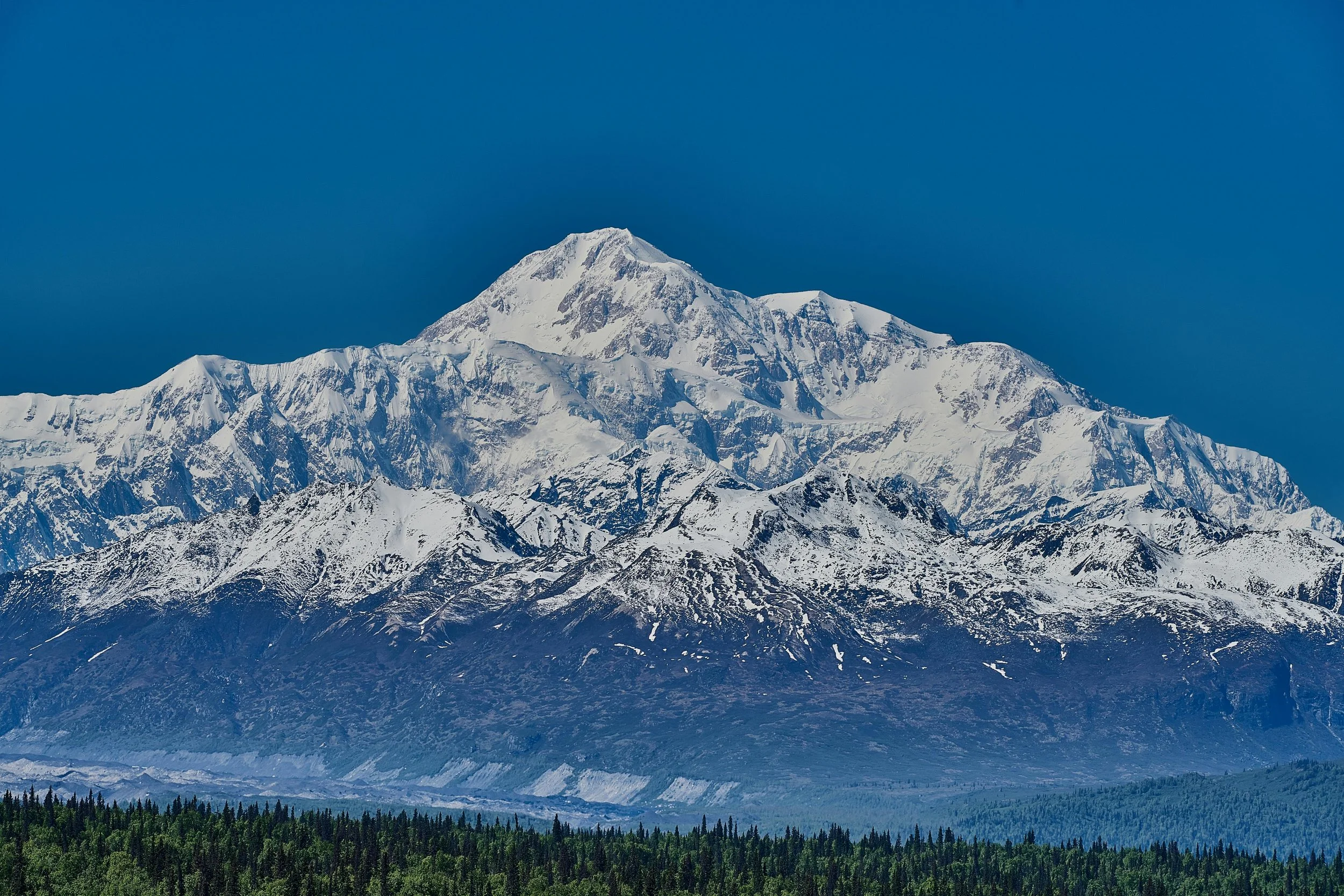 Snow-capped mountain range with a forest in the foreground and clear blue sky above.