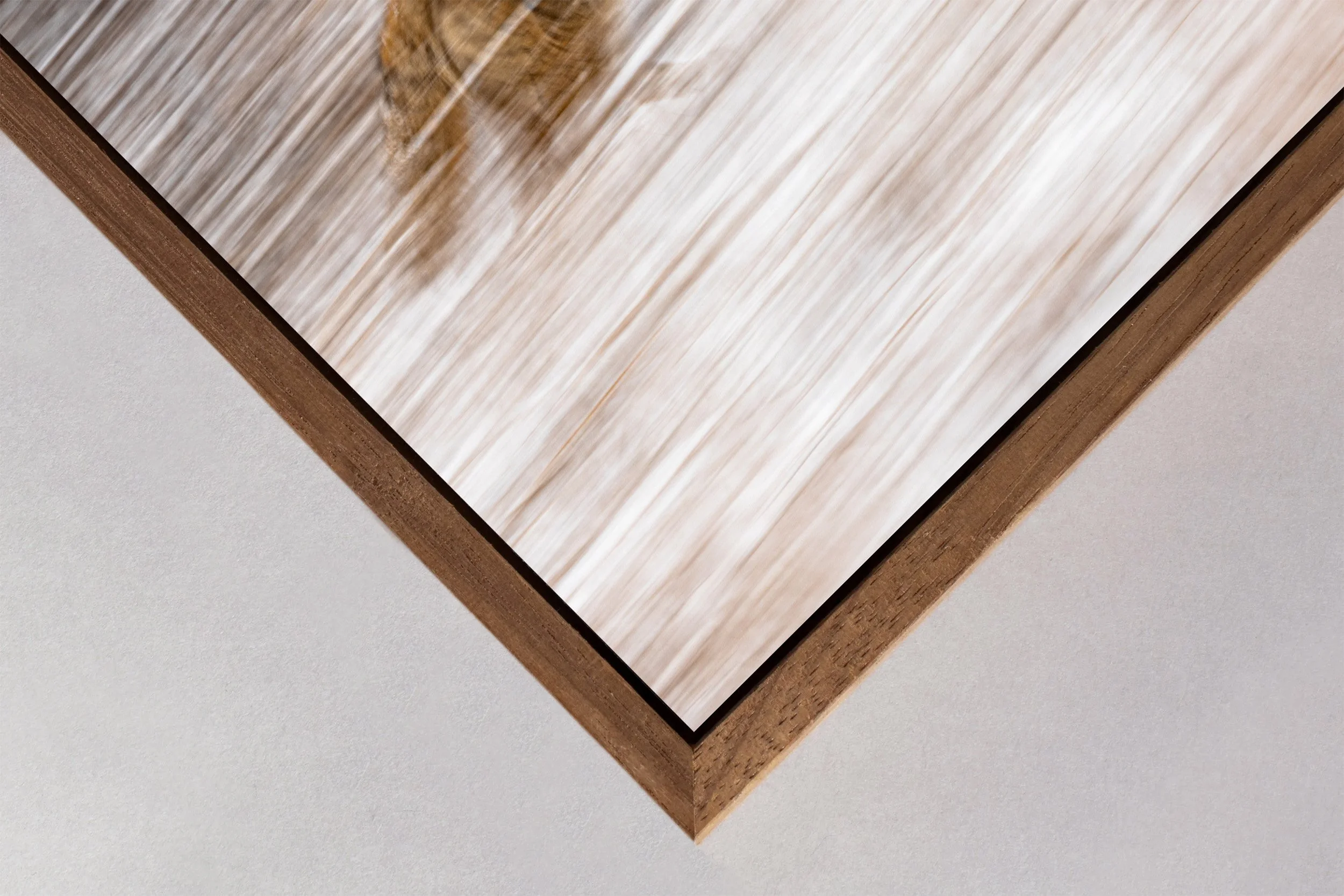 Ilse_Koks_Chasing_ Motion_5.1.jpg