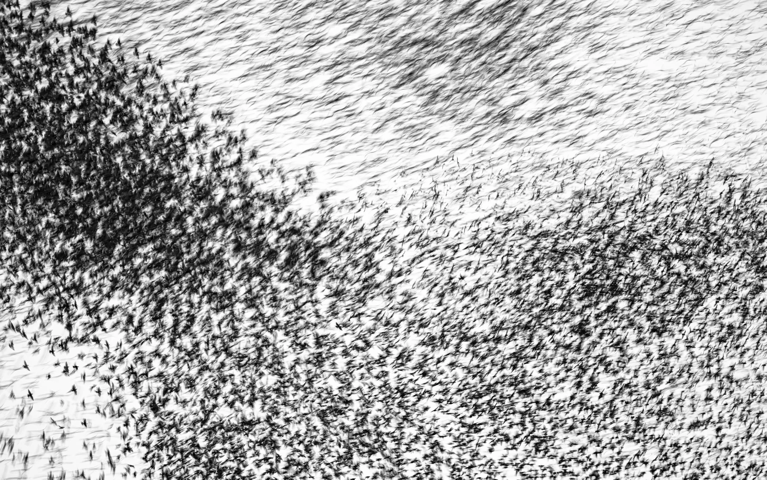 Ilse_Koks_Chasing_Motion-16.jpg