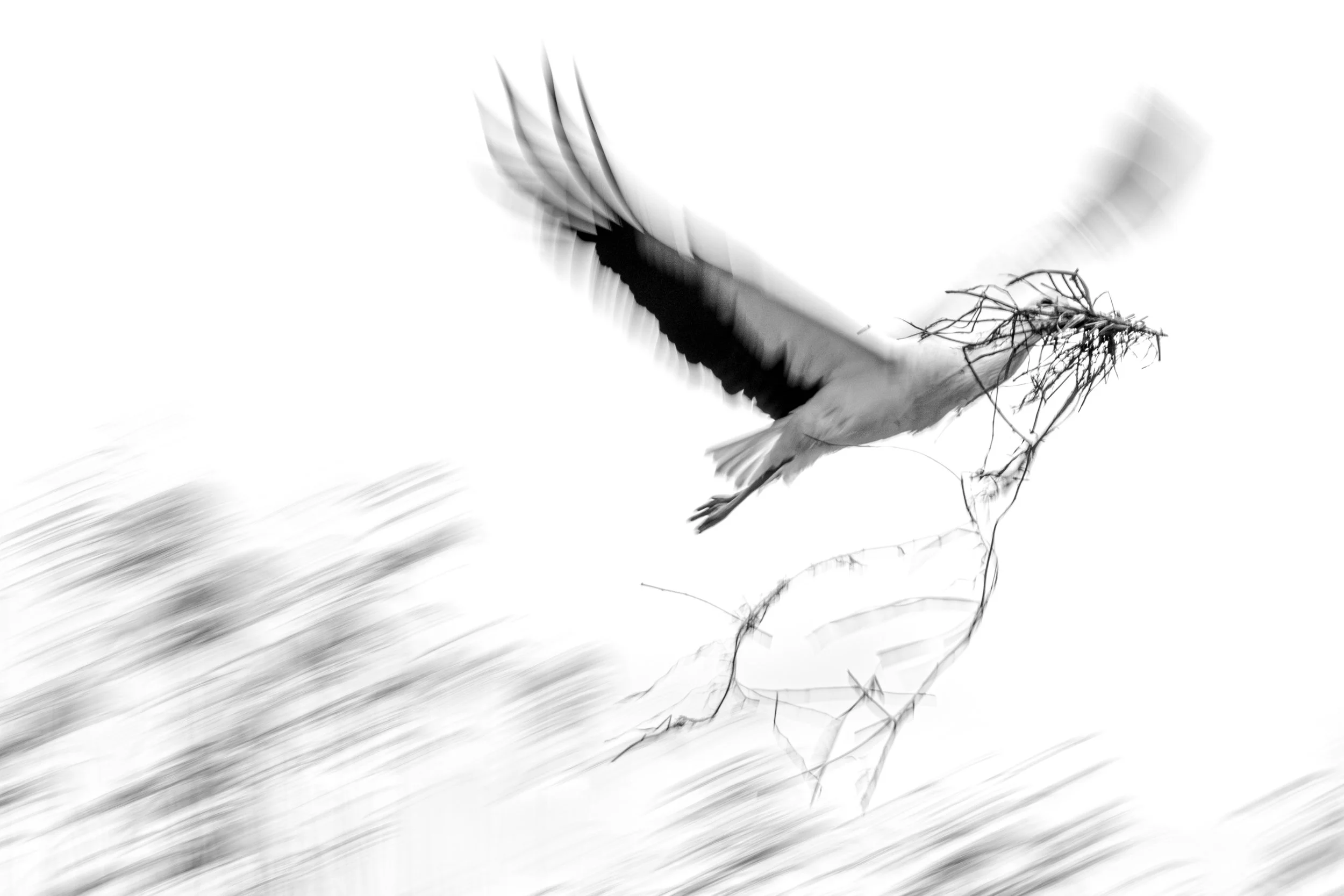 Ilse_Koks_Chasing_Motion-18.jpg