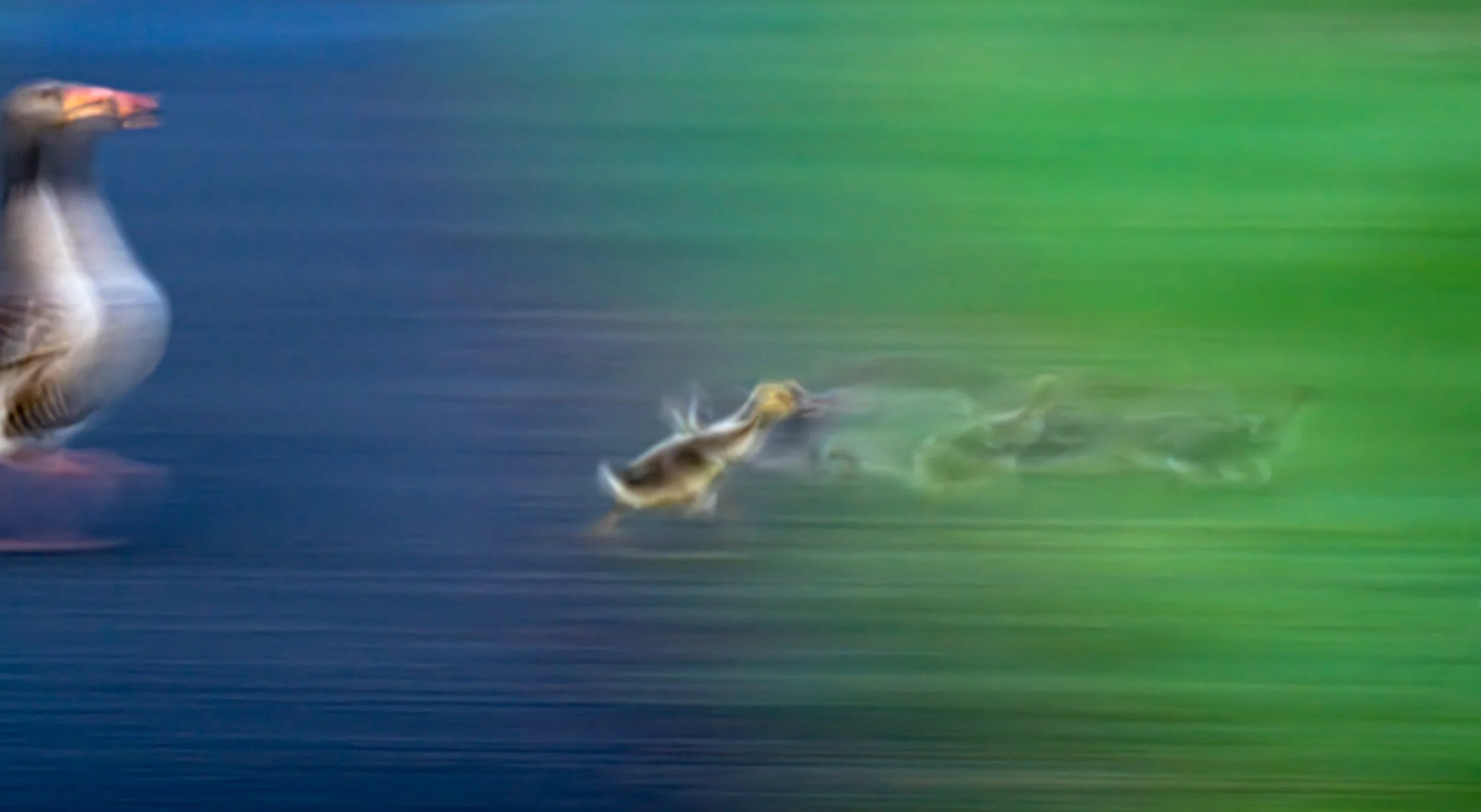 Ilse_Koks_Chasing_Motion.jpg