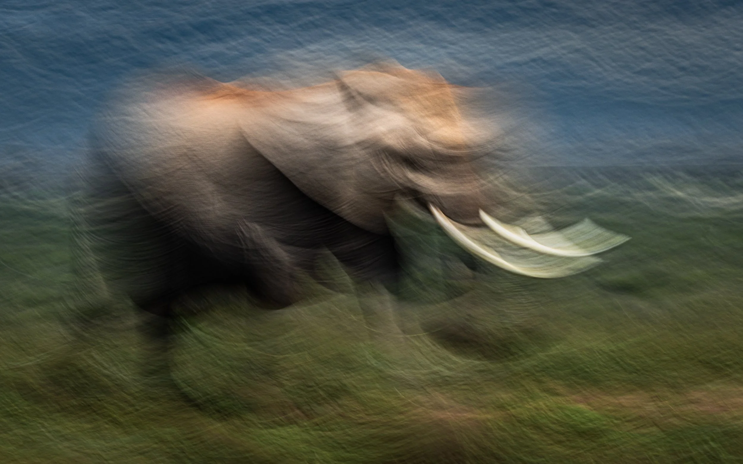 Ilse_Koks_Chasing_Motion-3.jpg