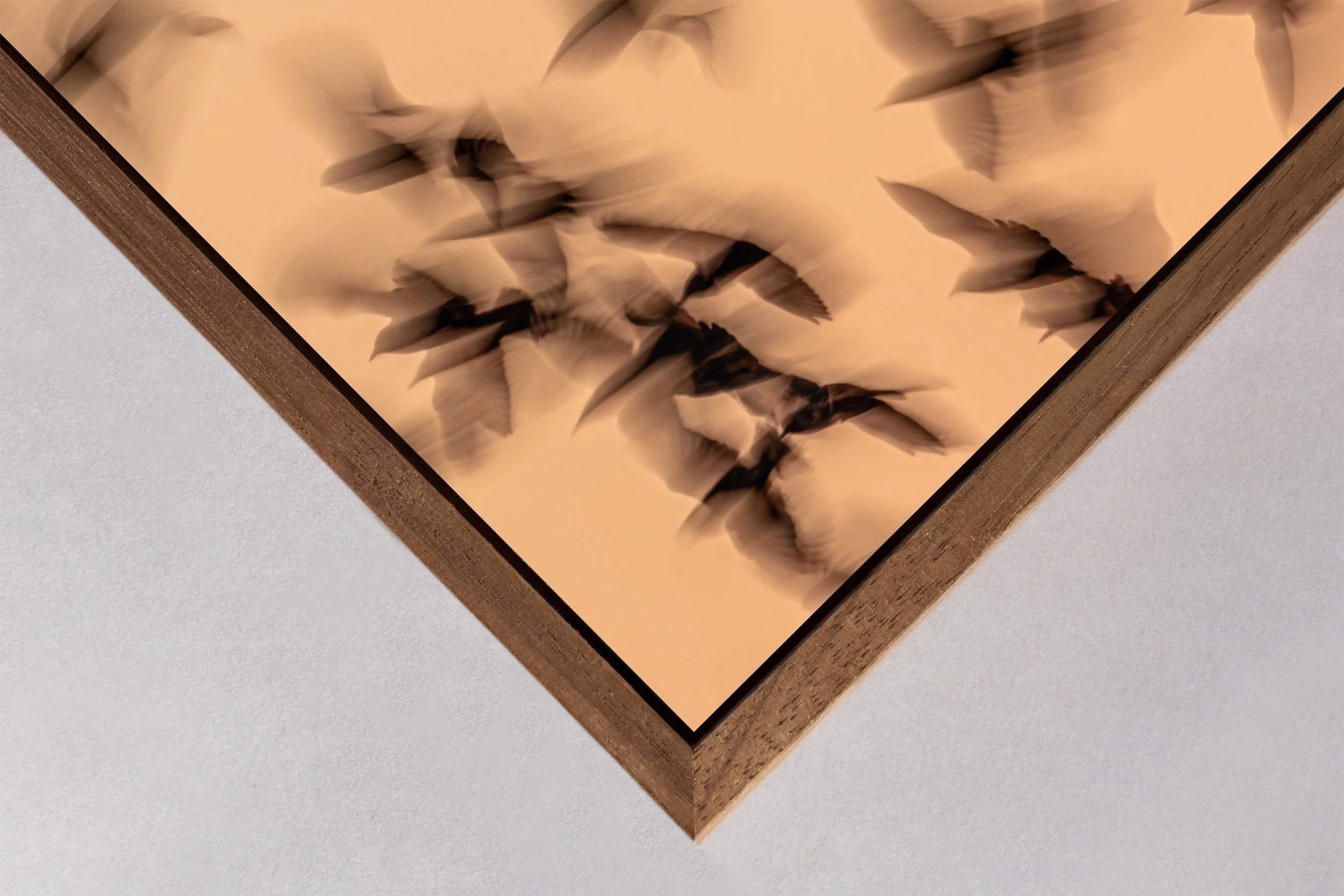 Ilse_Koks_Chasing_ Motion_6.1.jpg