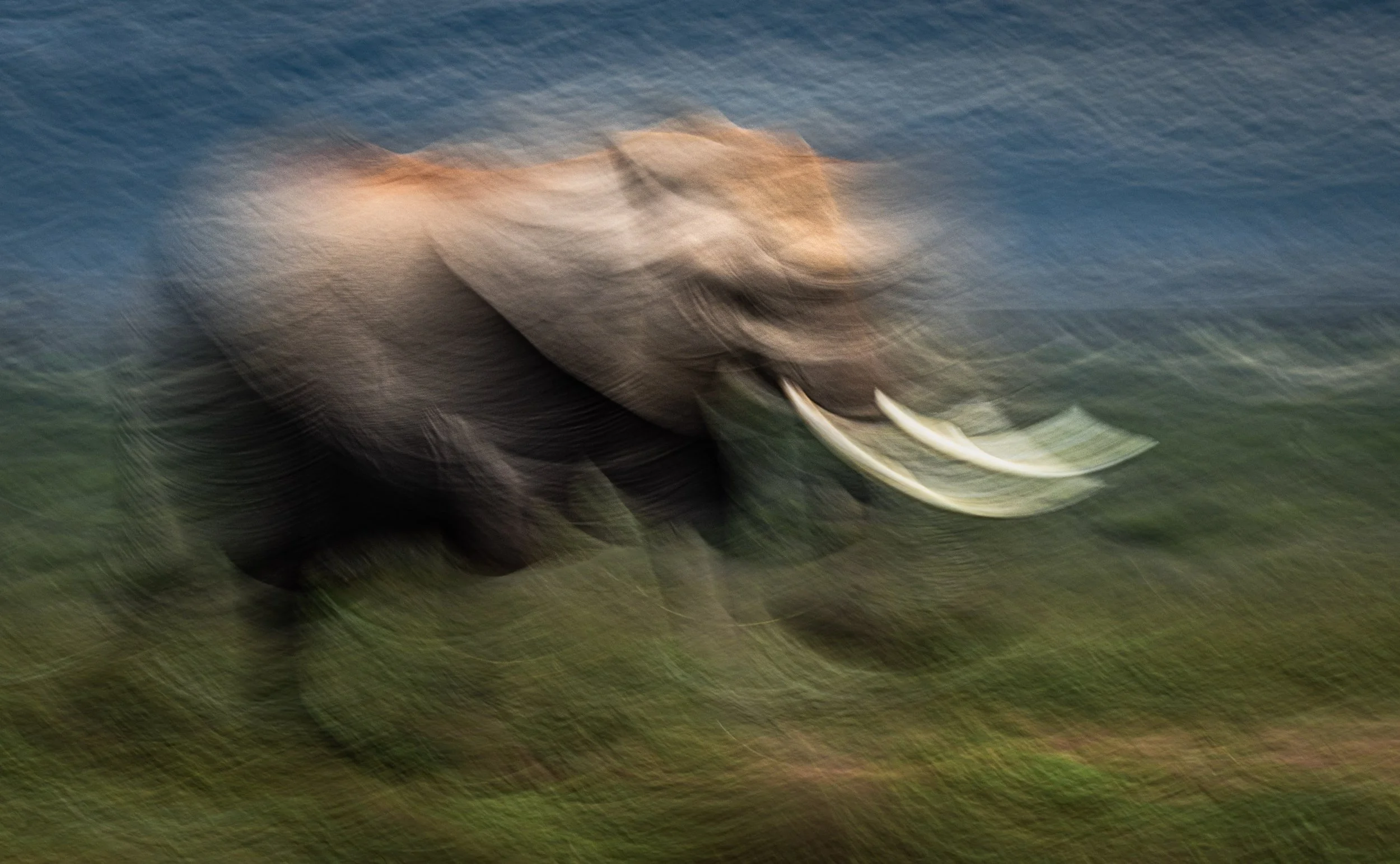 Picasso’s Elephant
An elephant captured at 1/10 sec, moving the camera in sync with the elegant curve of its tusks to emphasize their iconic shape. The slow shutter breaks the animal’s form into angular, abstract fragments, creating a Cubist, painter