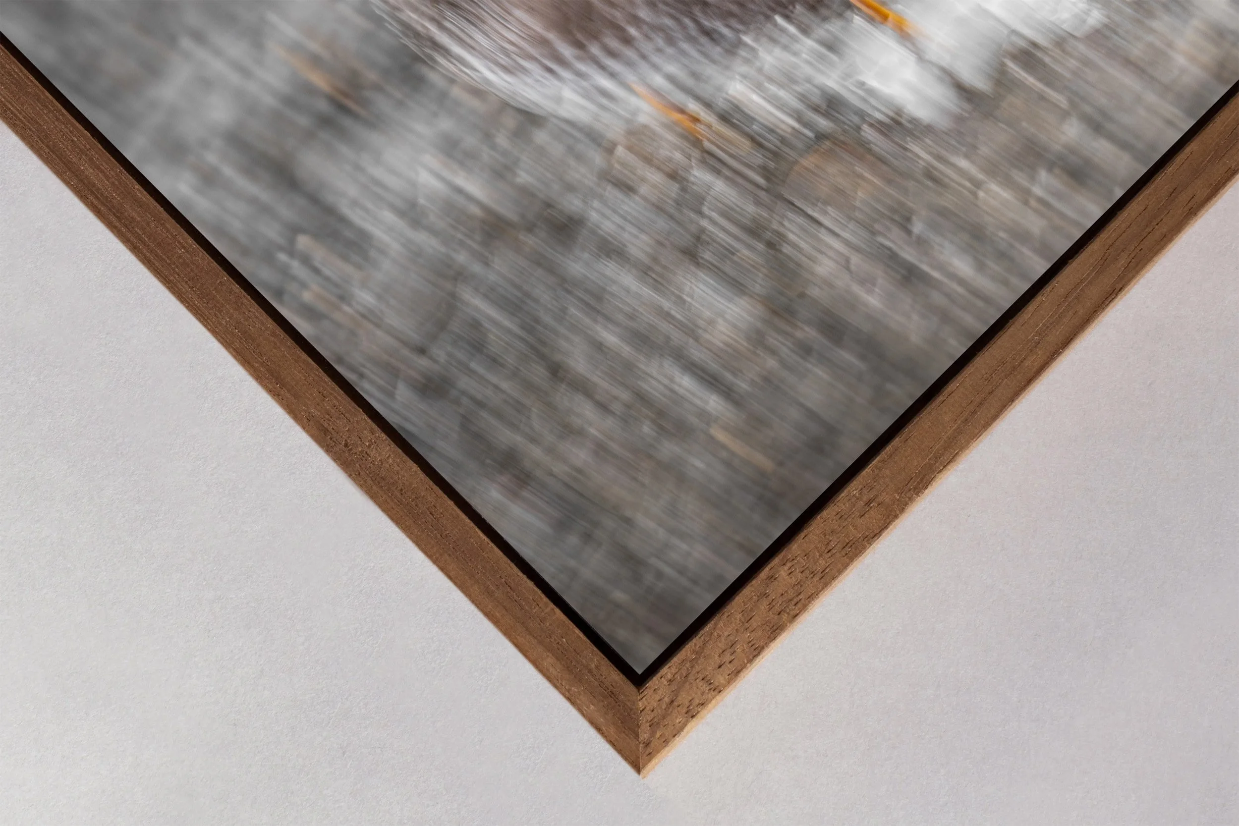 Ilse_Koks_Chasing_ Motion_3.1.jpg