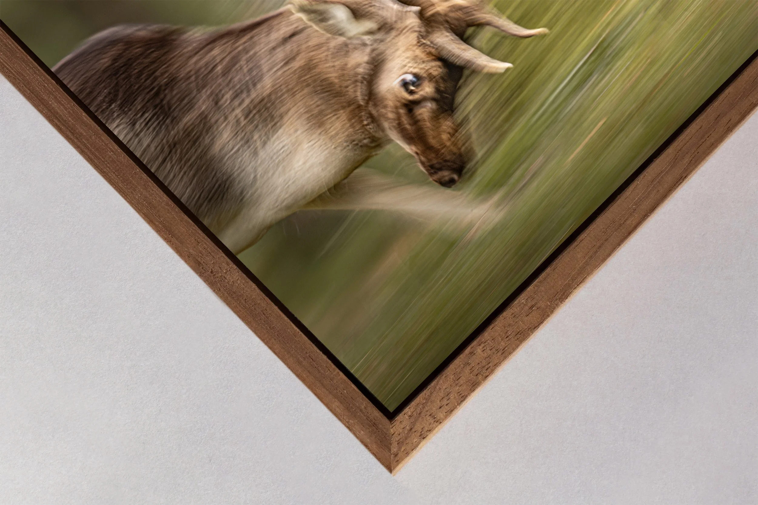 Ilse_Koks_Chasing_ Motion_8.1.jpg