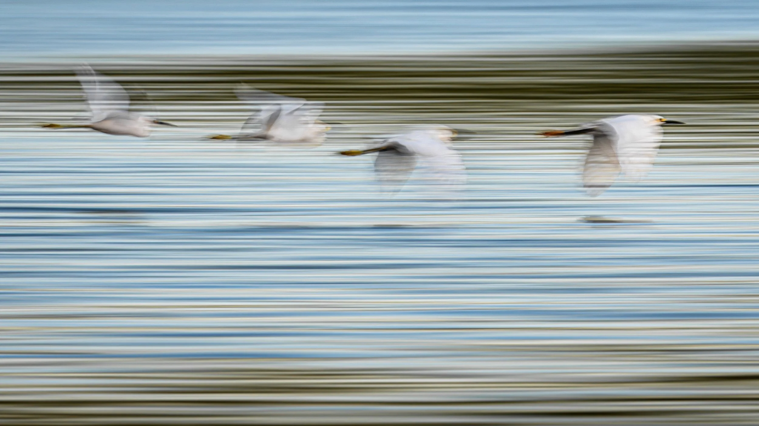 Ilse_Koks_Chasing_Motion-11.jpg