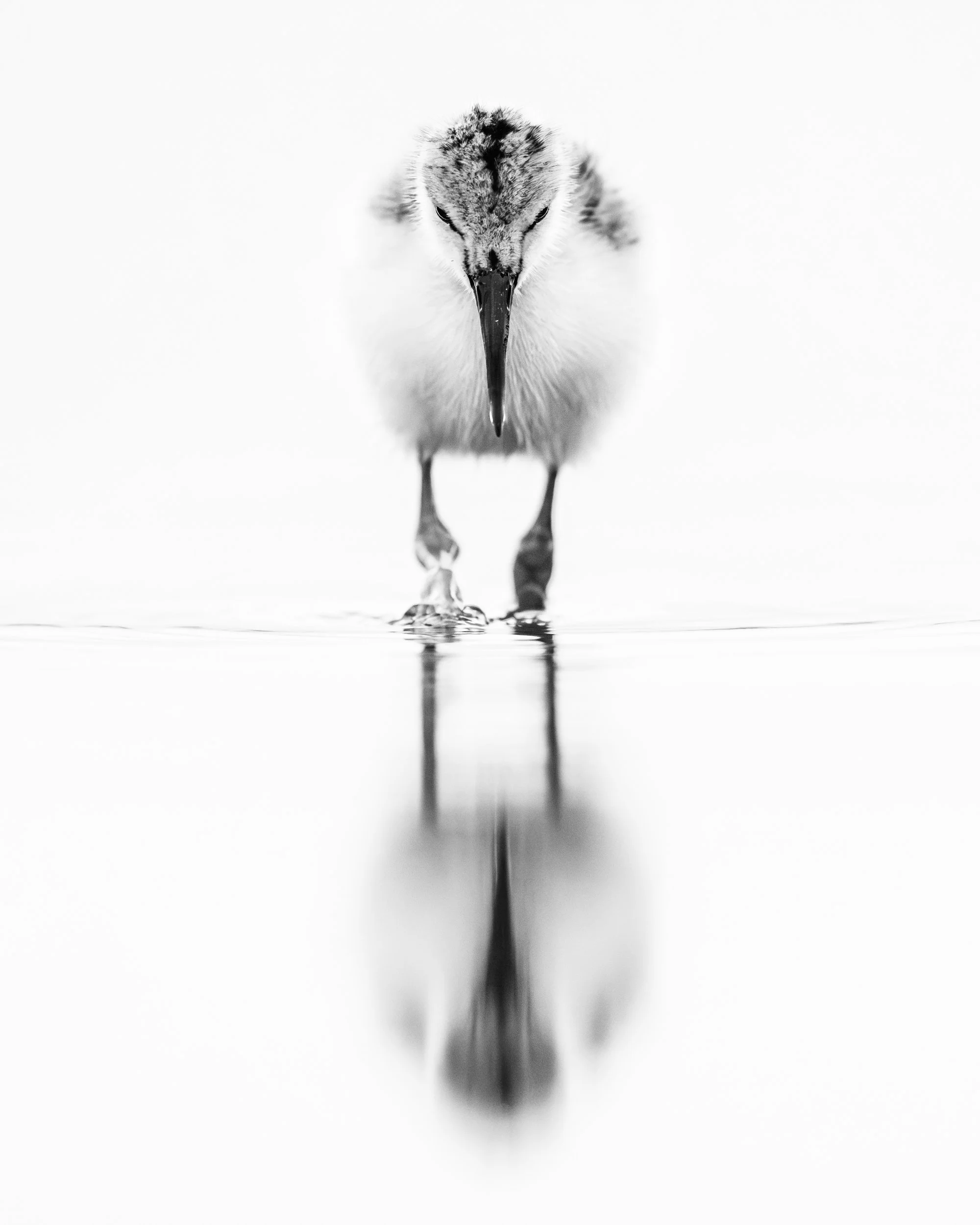 Ilse_Koks_Connected-10.jpg