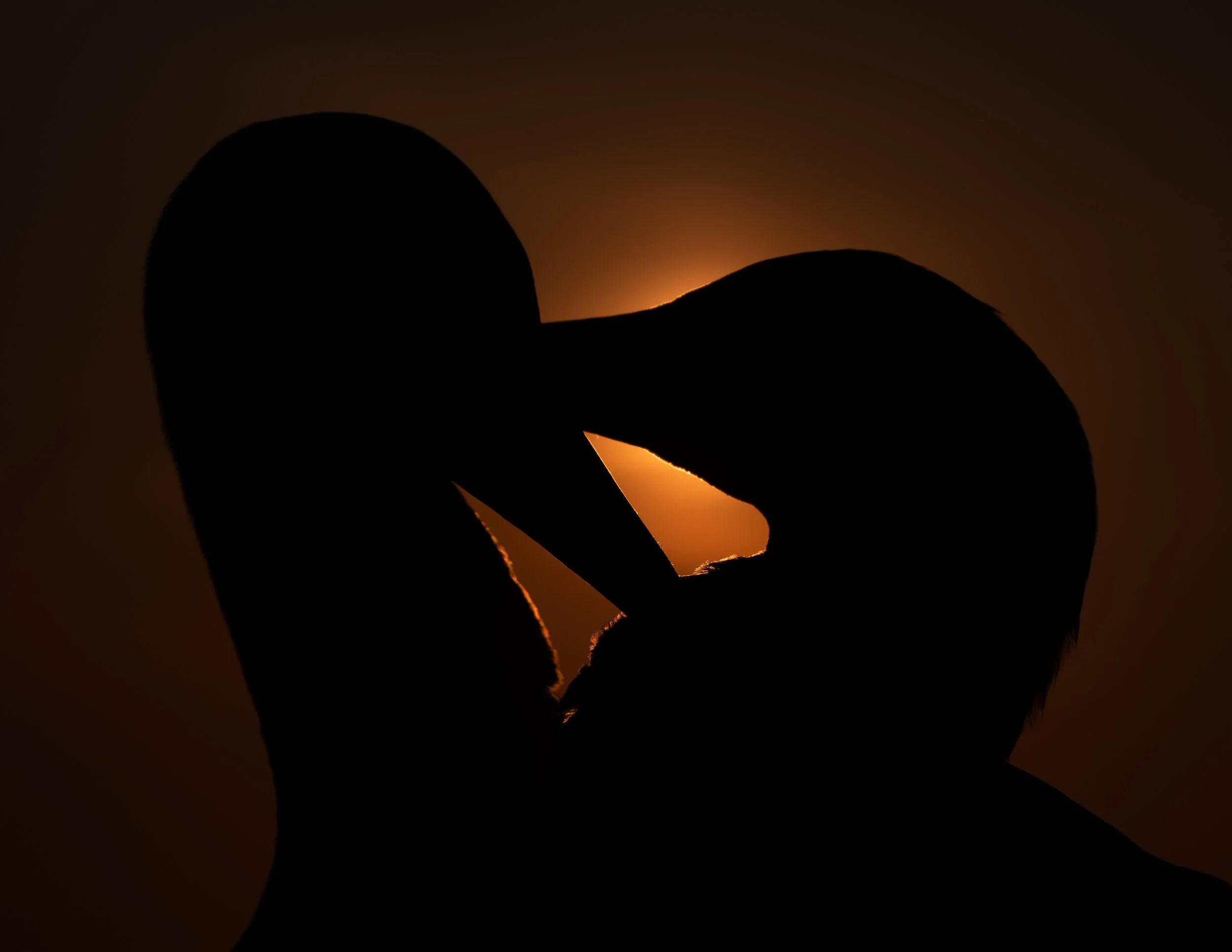 Ilse_Koks_Shadowlight-4.jpg