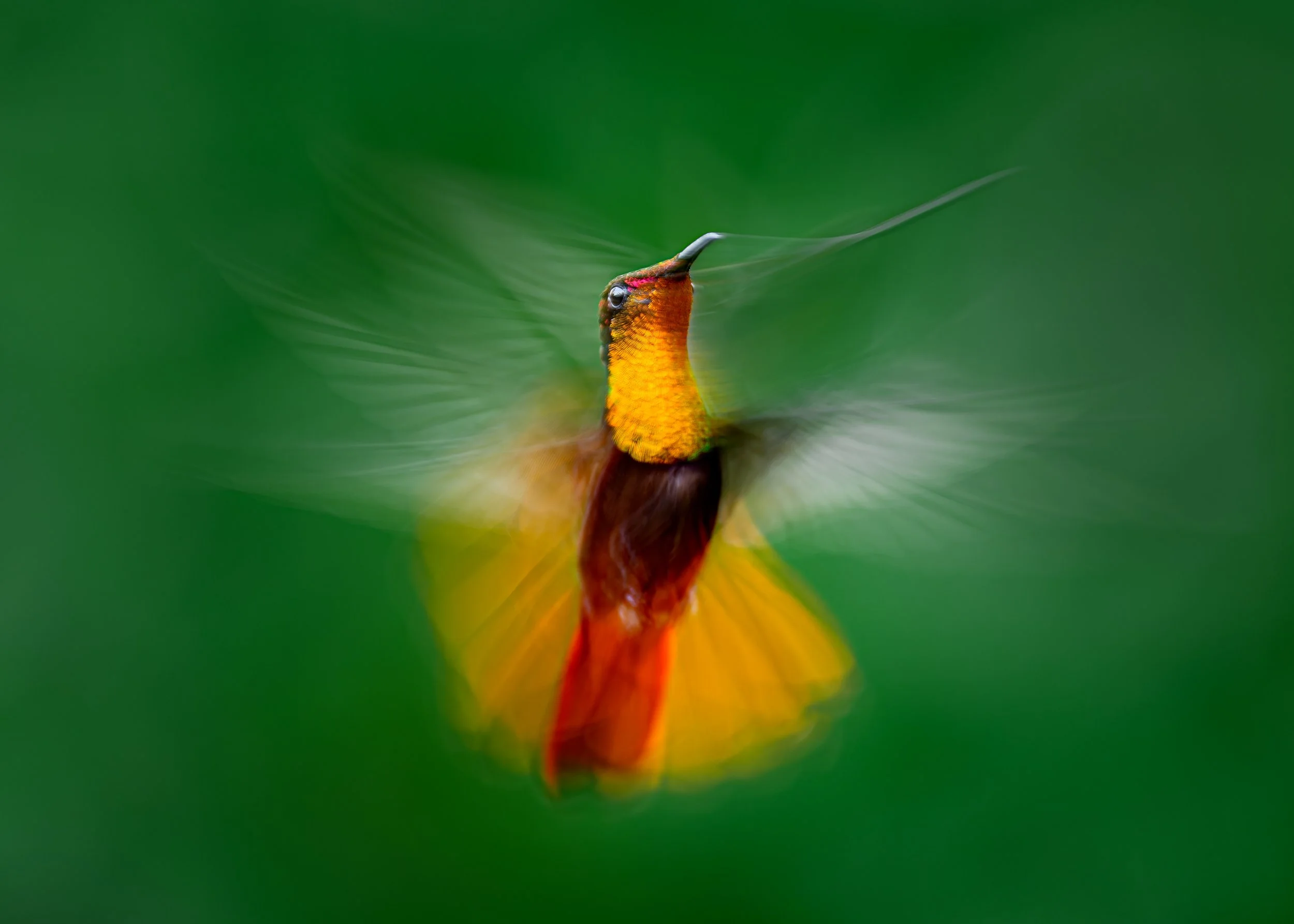Ilse_Koks_Chasing_Motion-13.jpg