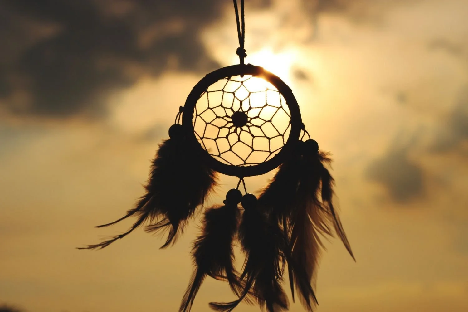 Decoding Your Dreams