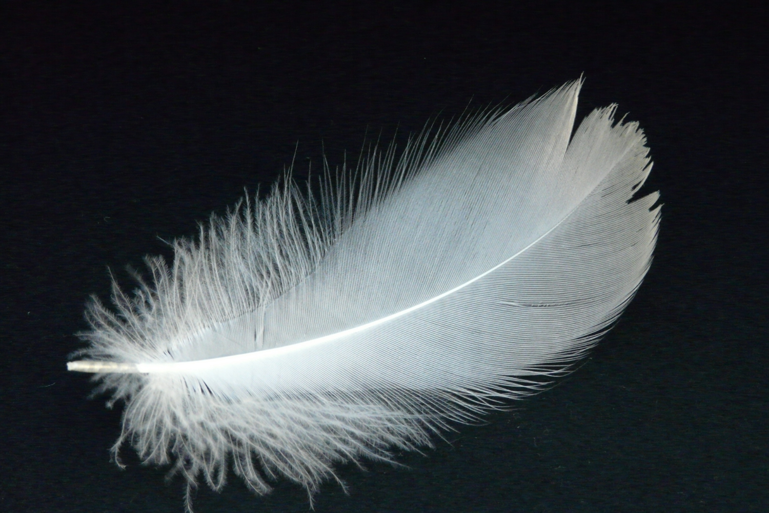 Intro to Psychic Development