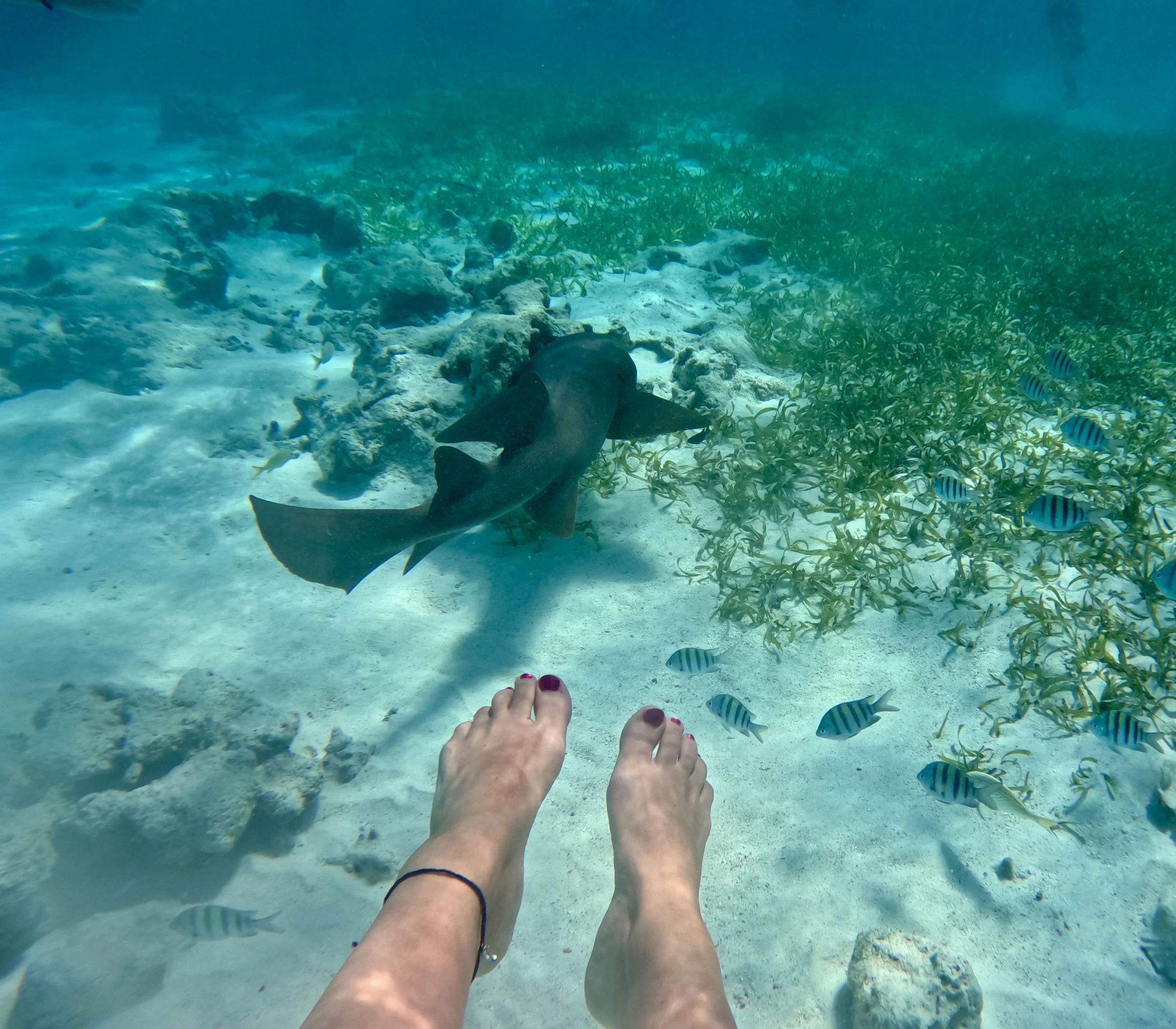 Somewhere Between Fear and Adventure: What Barbados and Belize Taught Me