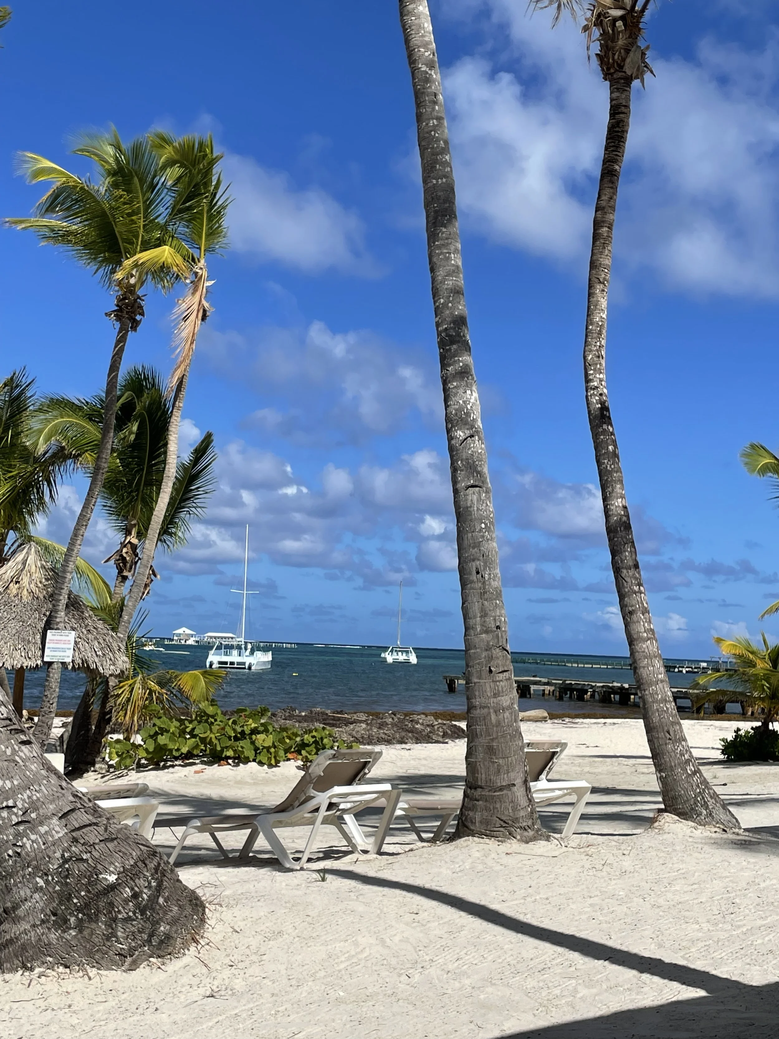 All-inclusive resort in the Dominican Republic. A tropical beach scene with tall palm trees, white sandy beach, lounge chairs, and boats anchored on the blue ocean under a partly cloudy sky.