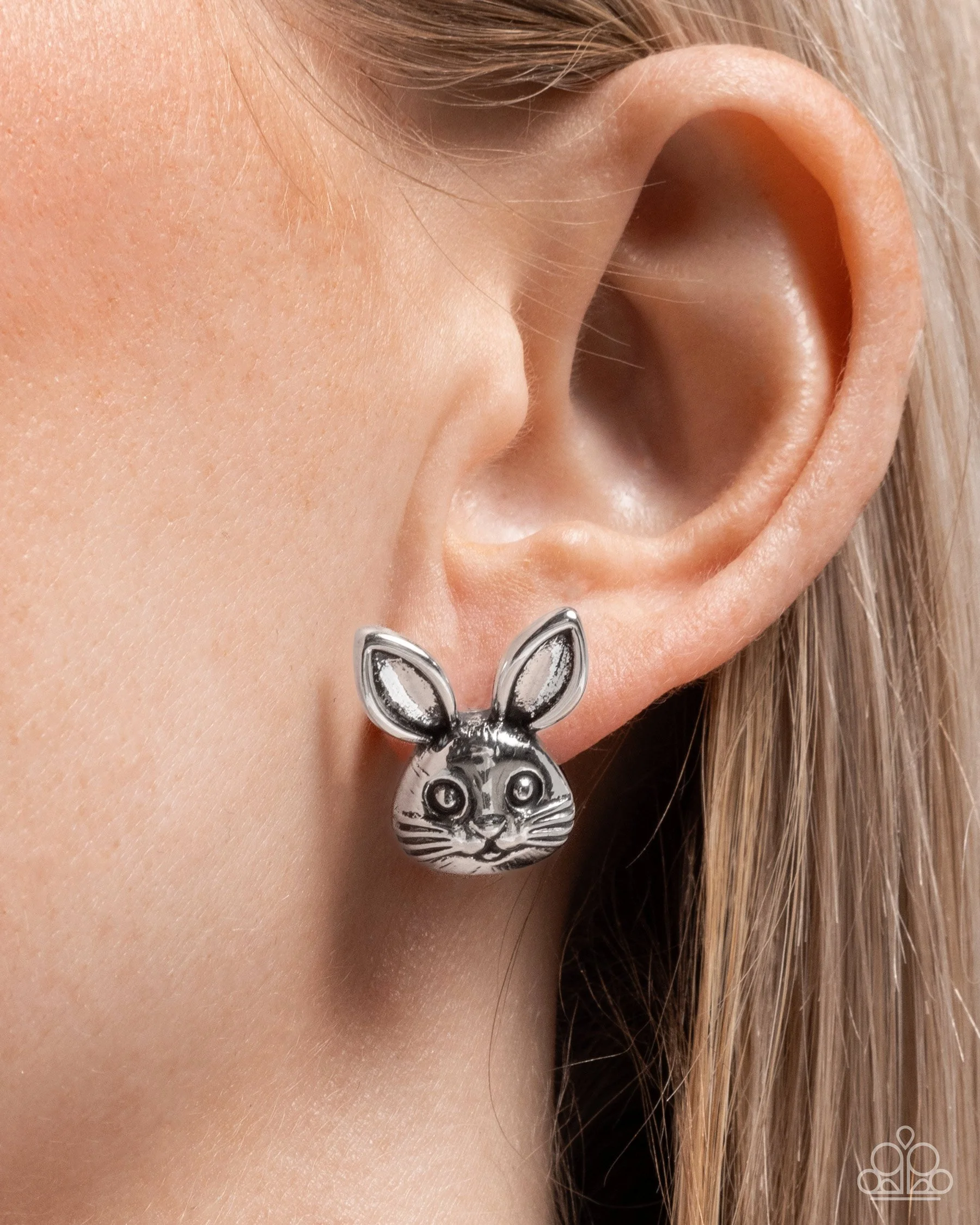 Bodacious Bunny