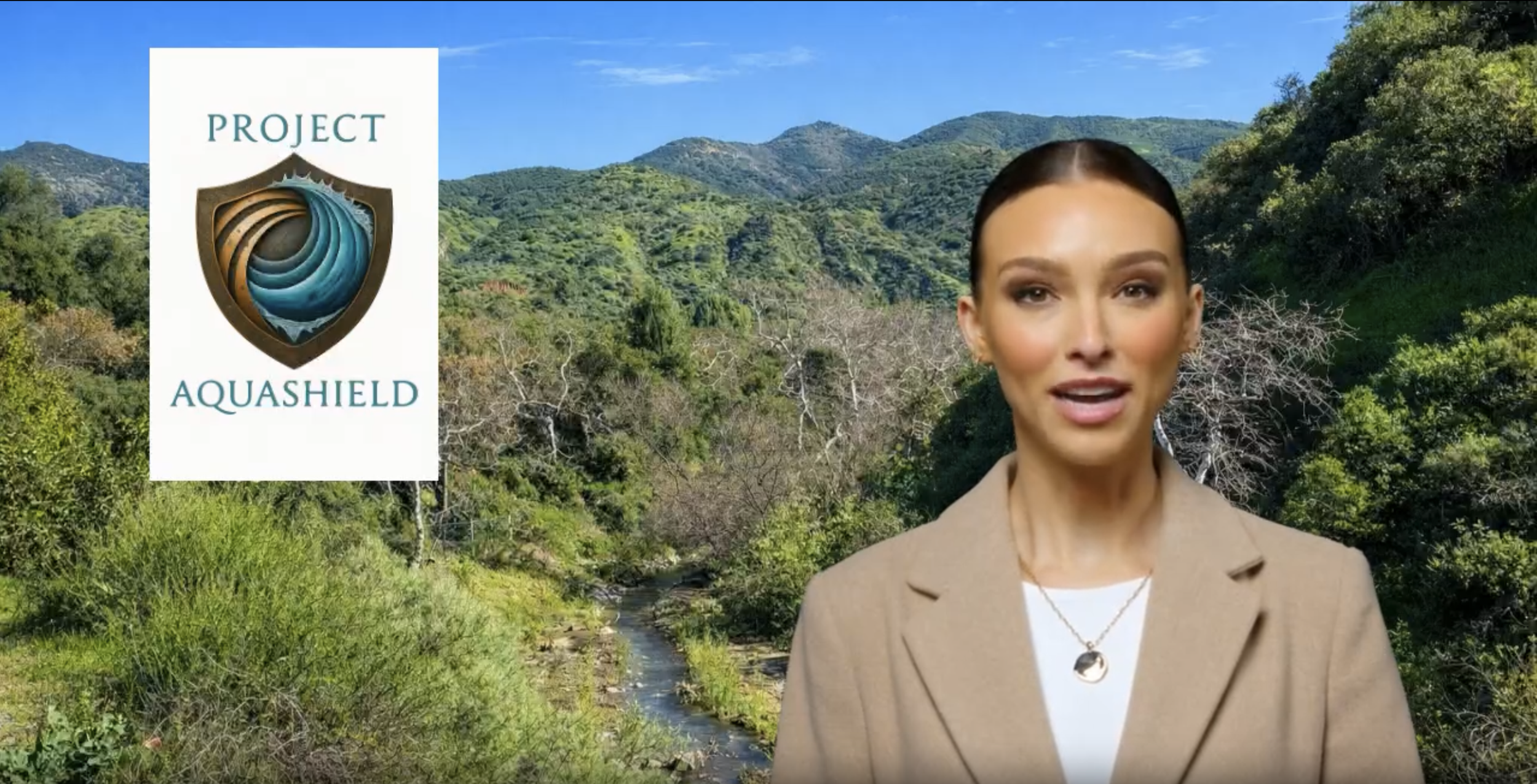 Cyber Risk Considerations