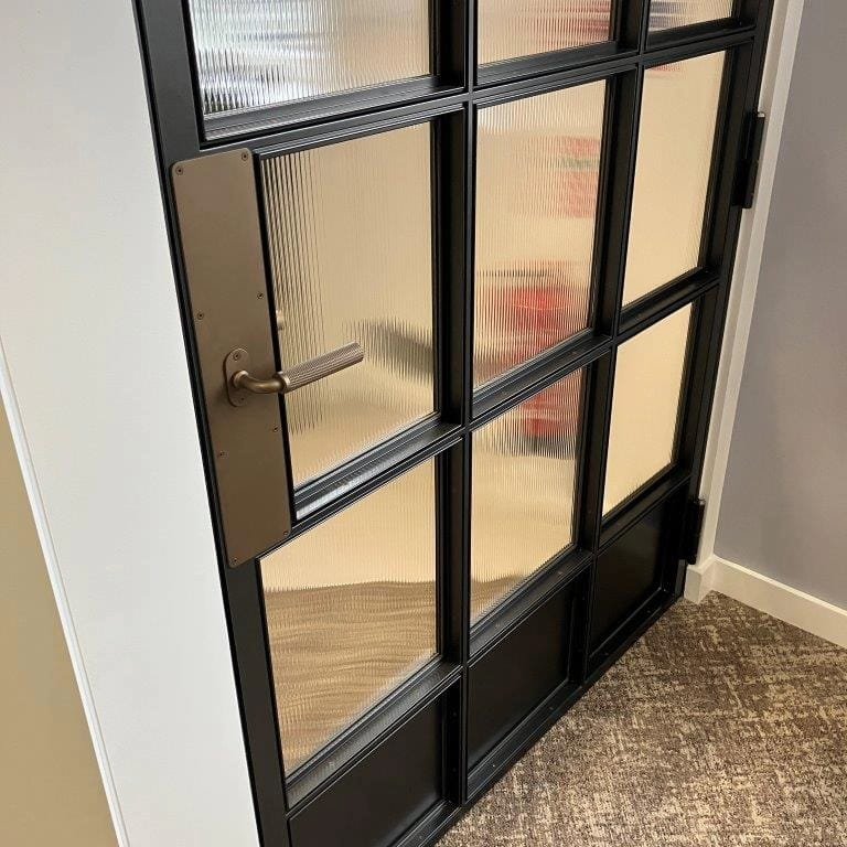 Black-framed glass door with a silver handle, set in a white wall, with a textured gray carpeted floor.