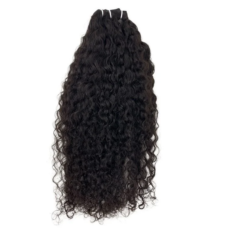 Burmese Curly