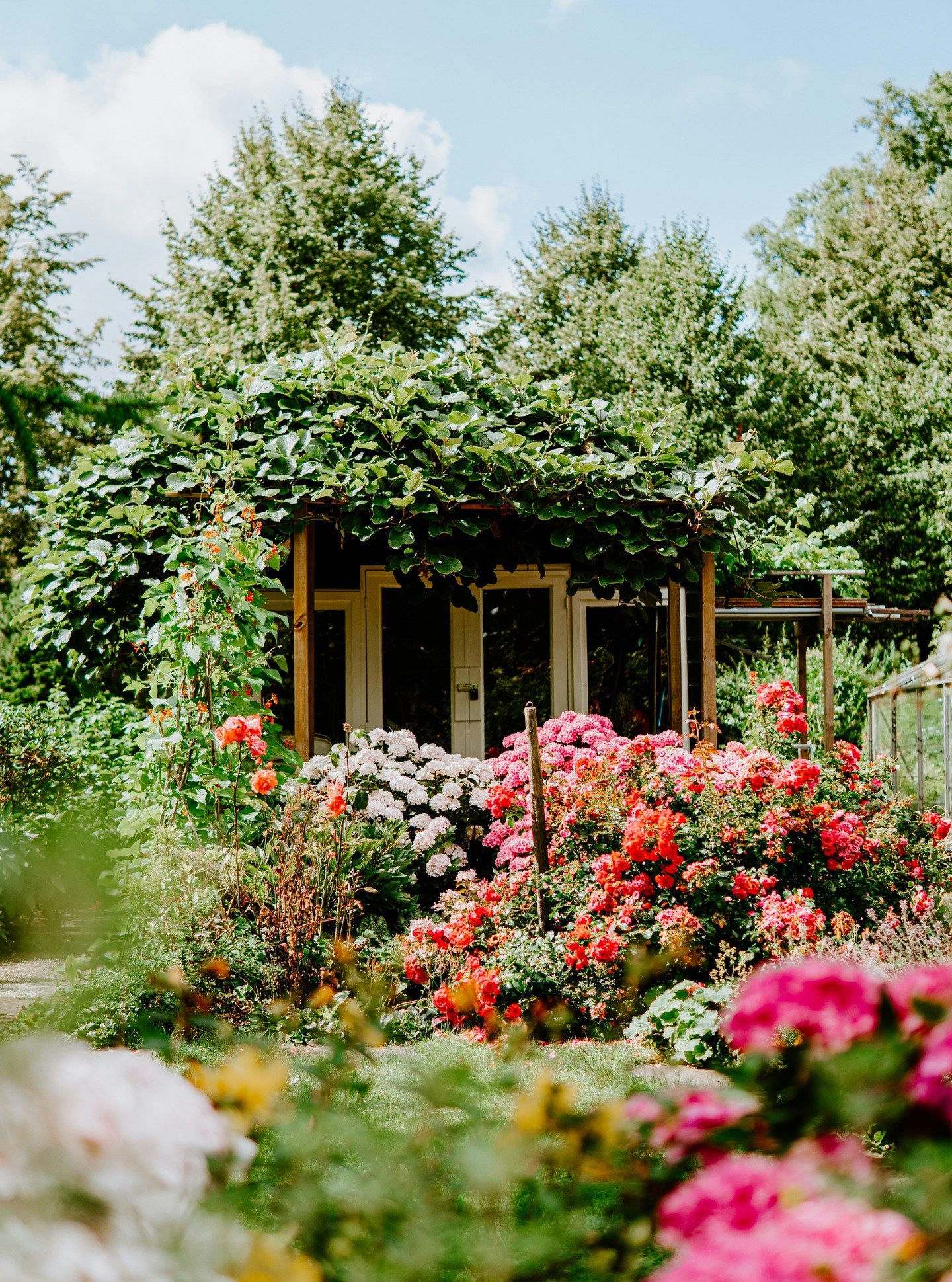 Gardens are outdoor rooms.

Climbing plants, shrubs, and perennials soften built structures, integrating architecture into the landscape. 

In coastal gardens, planting around structures also provides wind buffering and temperature moderation. 

This