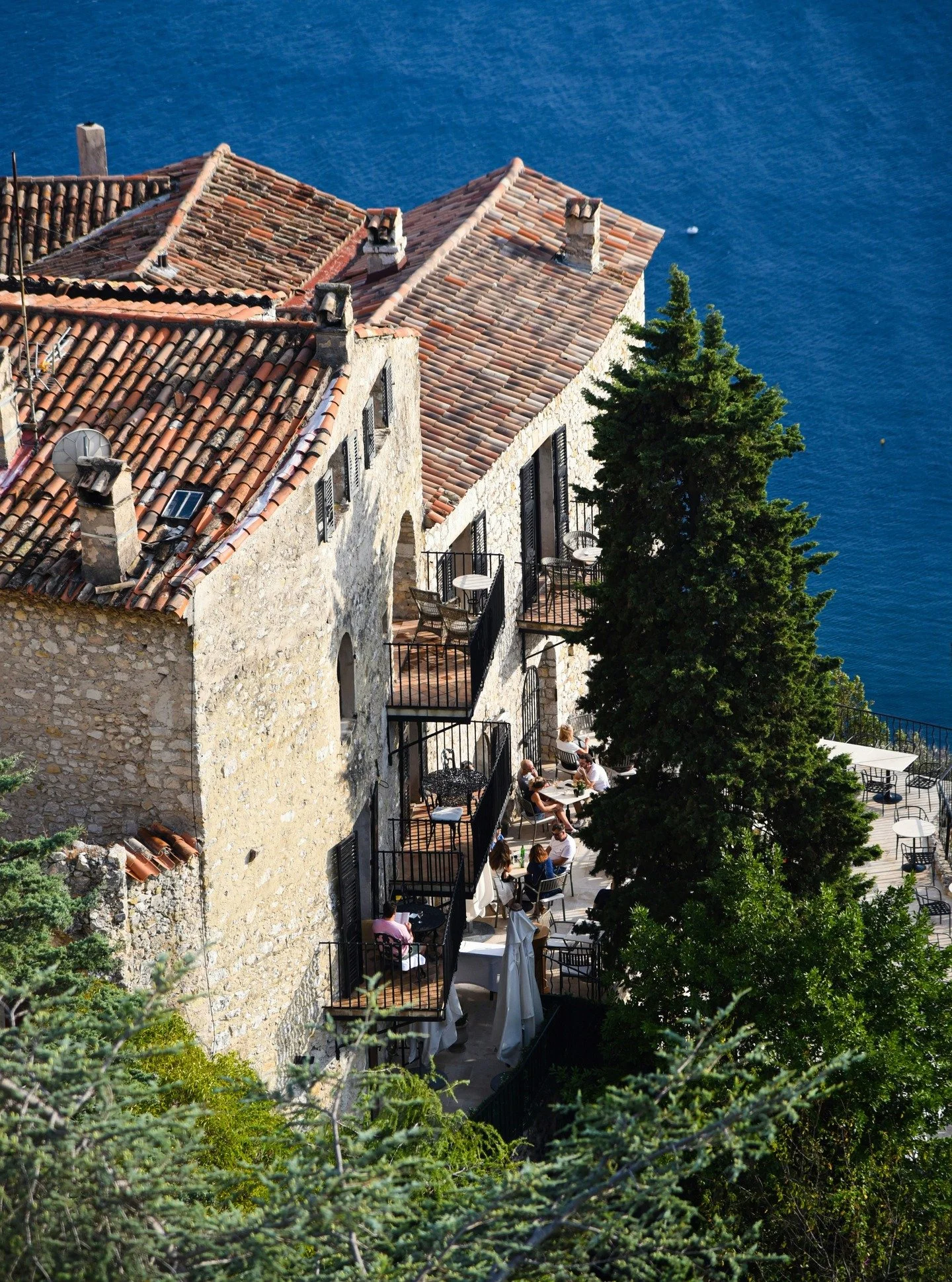 Mediterranean planting principles translate beautifully to UK coastal gardens.

Stone, texture, drought-tolerant planting, and restrained colour palettes create landscapes that feel grounded and long-lasting. 

Choosing plants adapted to sun, wind, a