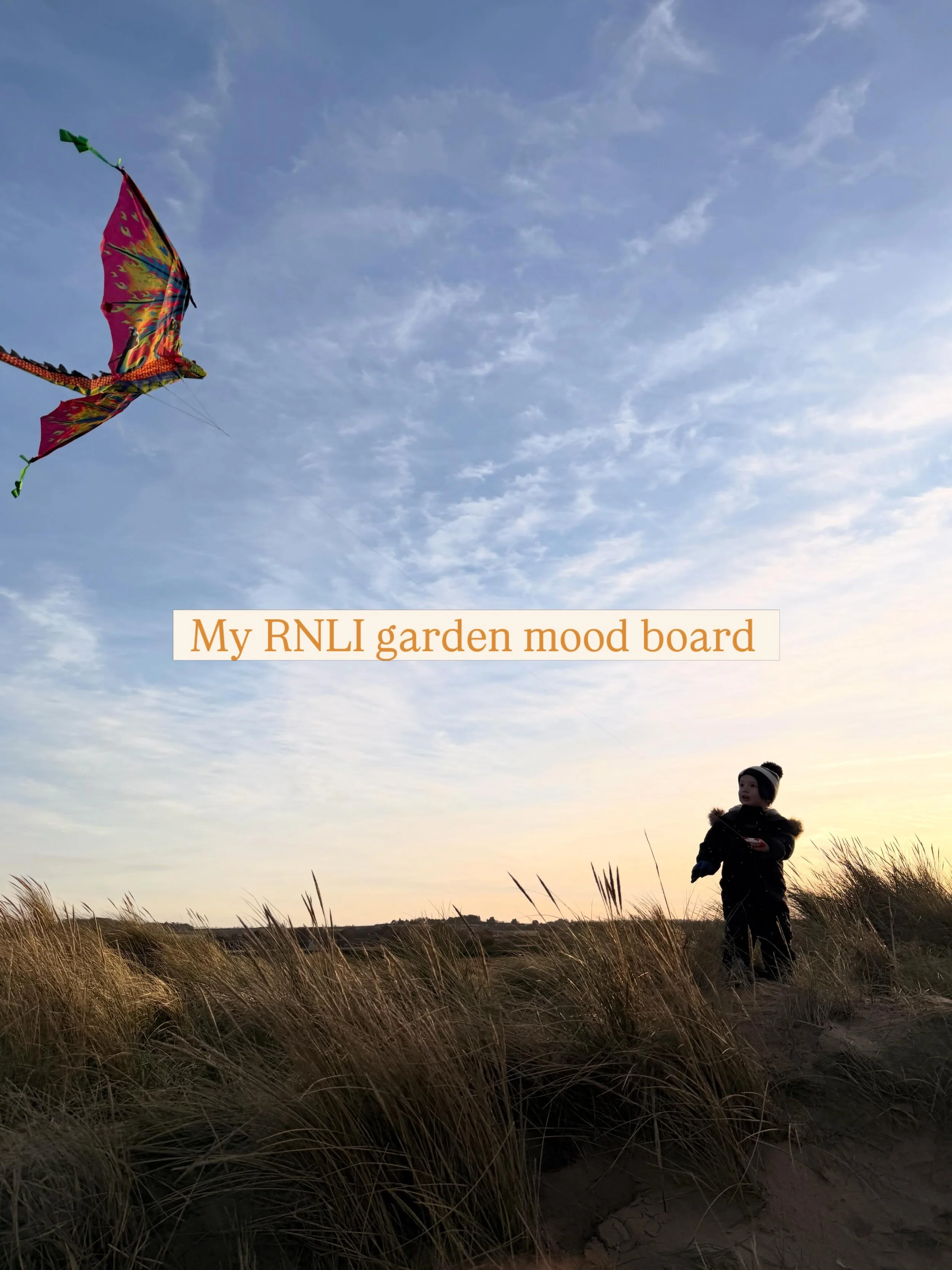 The images that were on my mood board during the design process for the RNLI garden featured at RHS Sandringham 2026. The space is inspired by Norfolk&rsquo;s dune systems, weathered textures and special seaside memories 💙