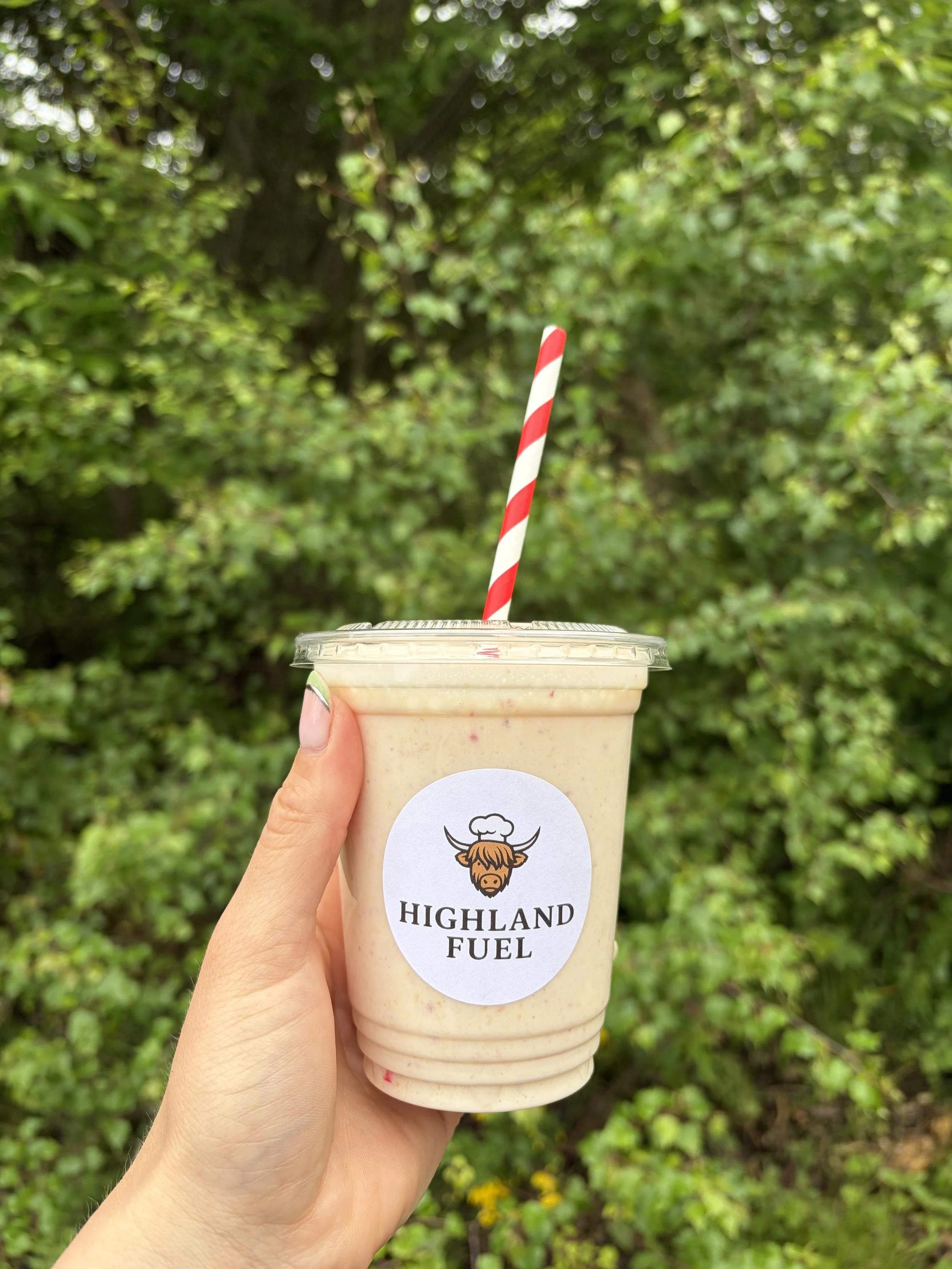 Tropical Protein Smoothie