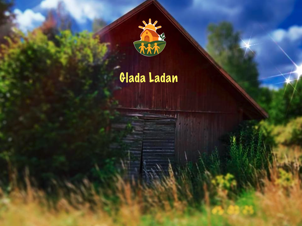 Första dag på ladan