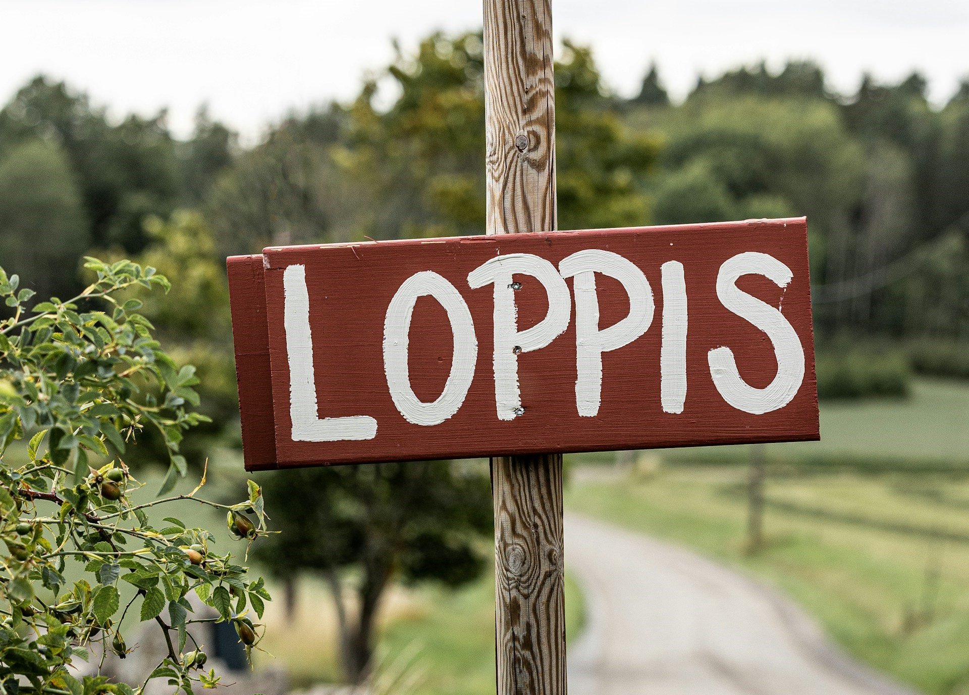 Loppis i Ladan
