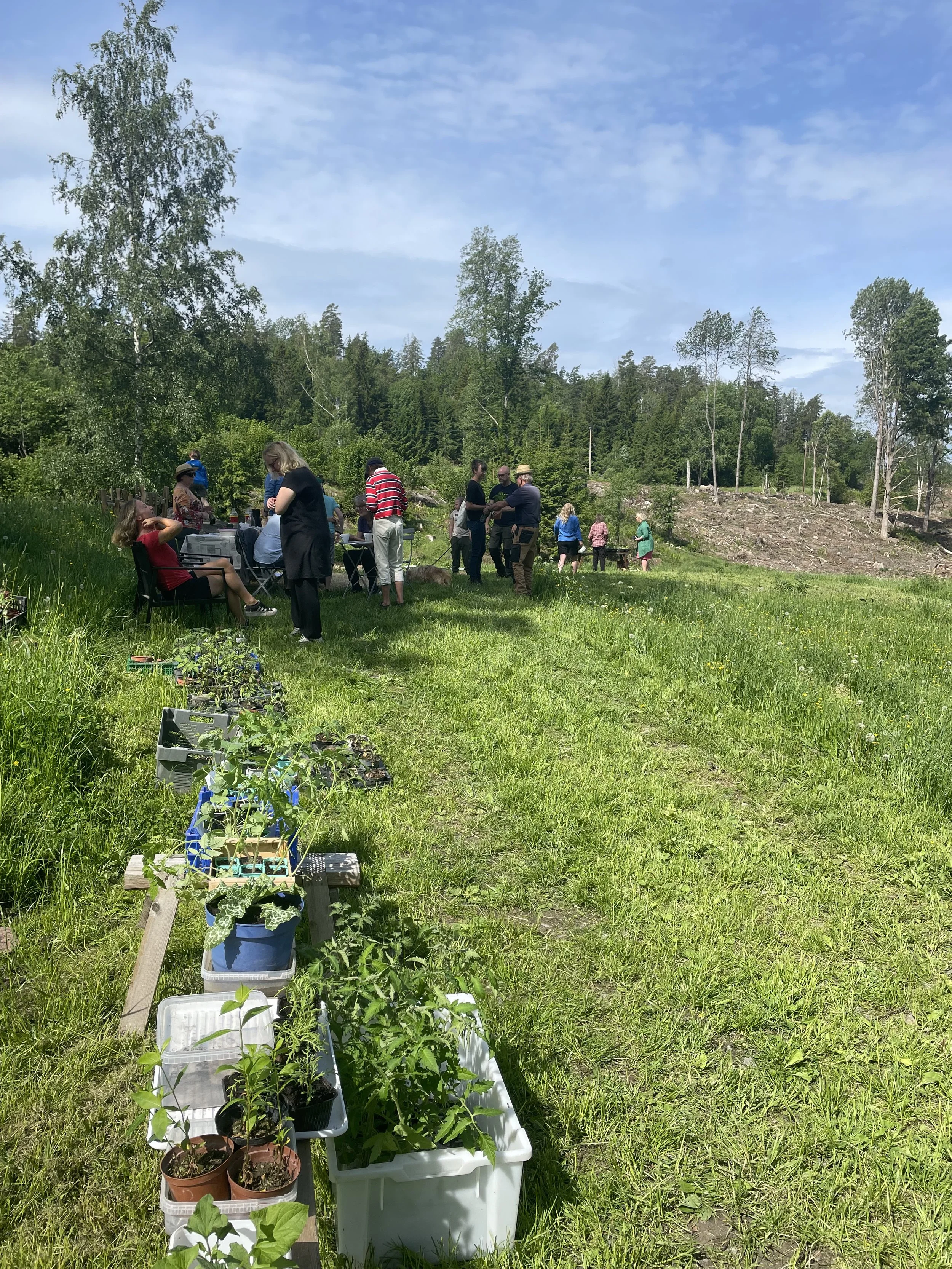 Plantbytardag