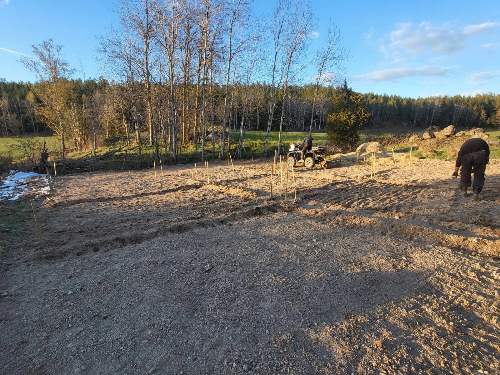 Kulturvetsorter testas på Djupedal