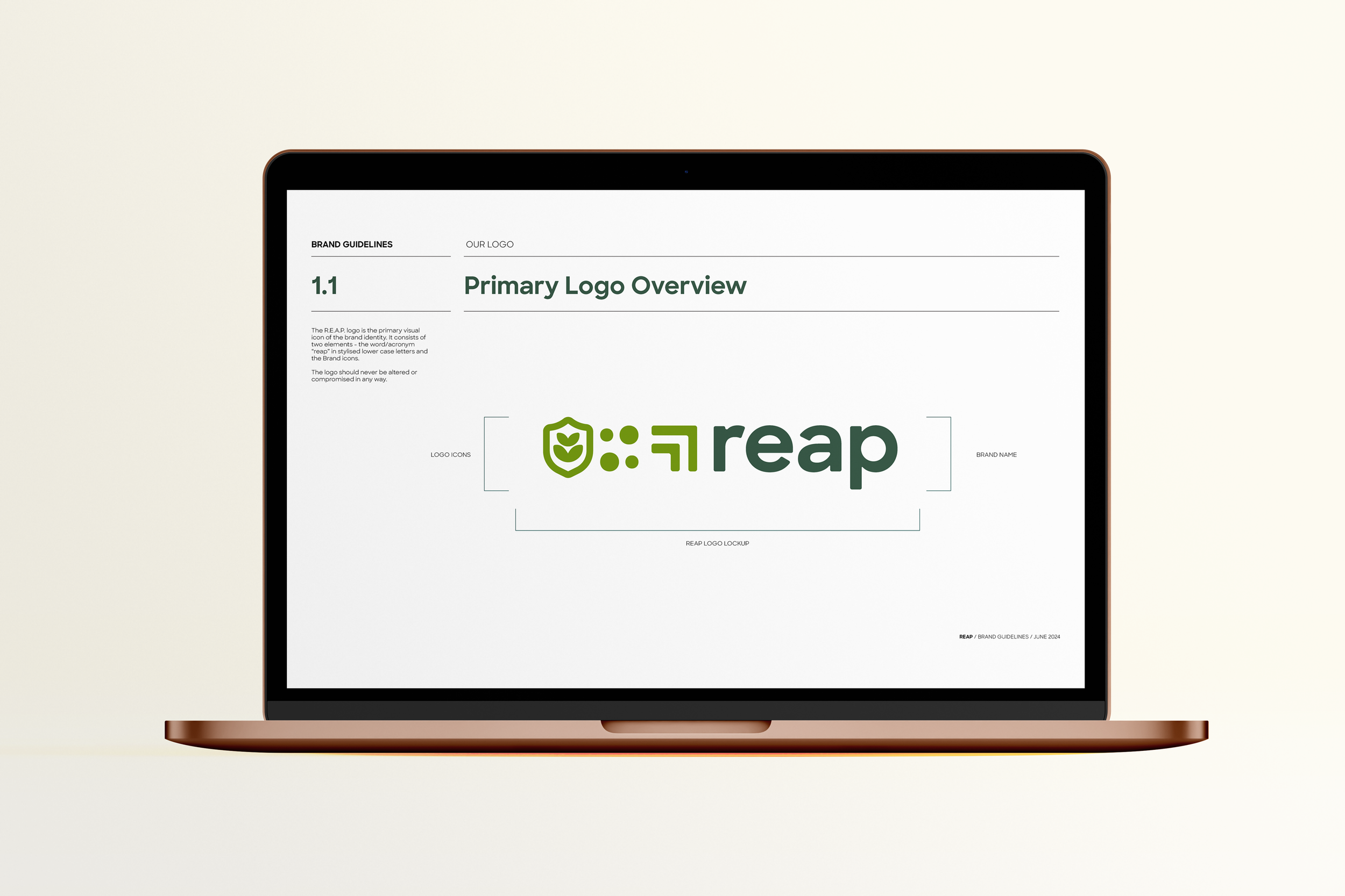 Laptop displaying brand guidelines for the logo 'reap', including logo icon, name, and lockup, with instructions on logo usage.