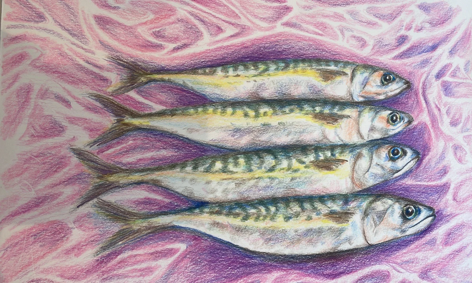 fish+pink.png