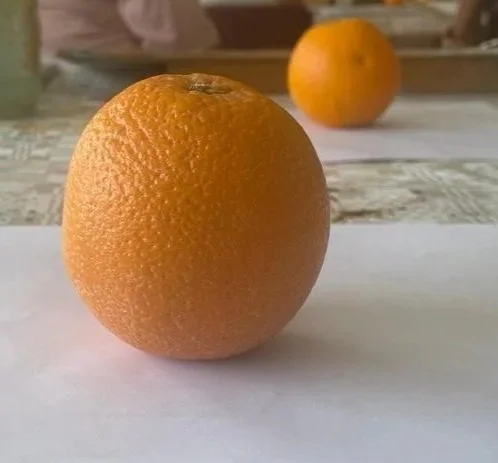 ORANGE2.jpg
