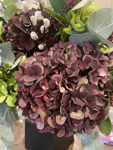 hydrangeas1.jpeg
