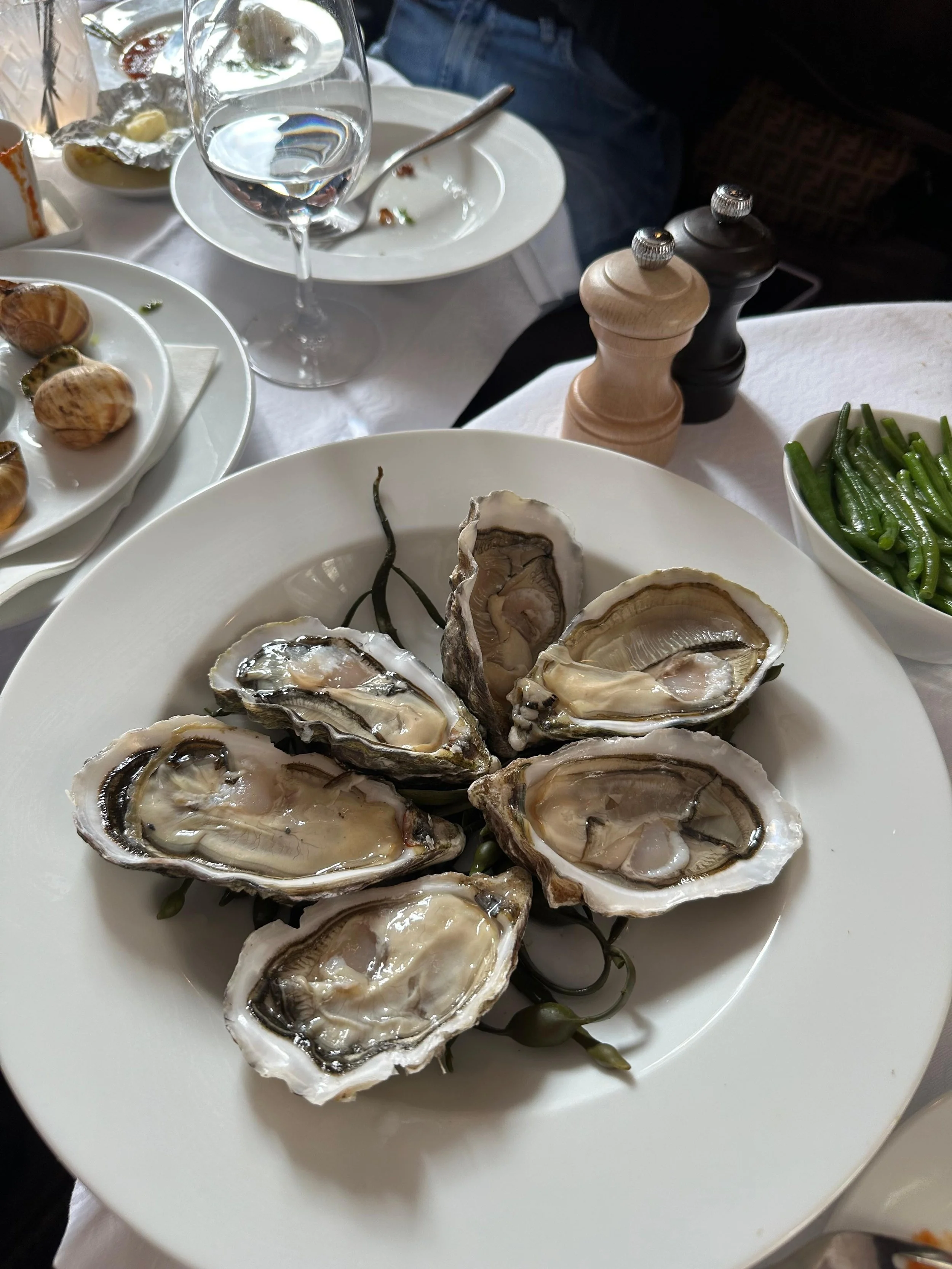 OYSTERS REAL1.jpg