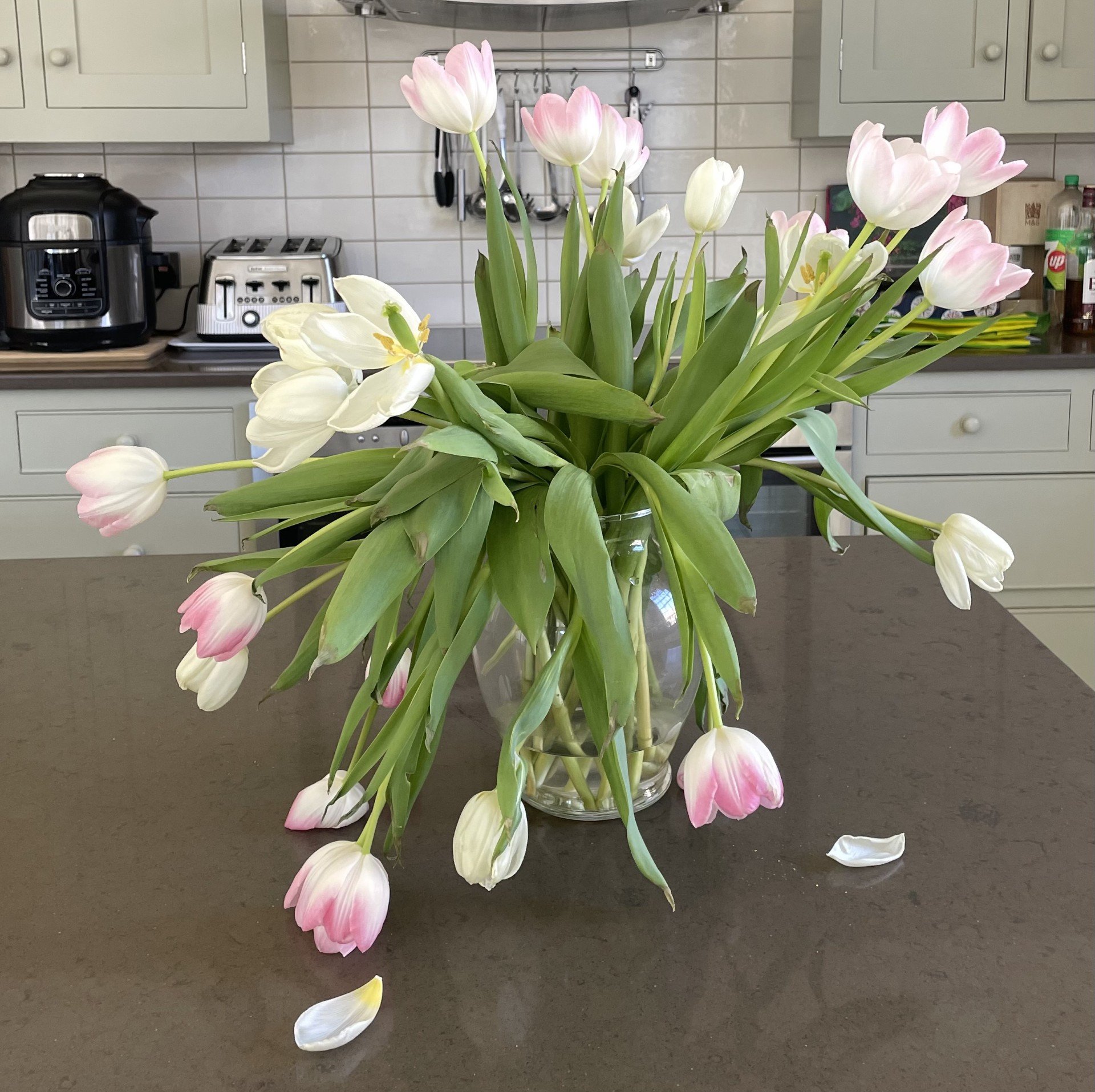 A glass vase filled with white and pink tulips placed on a kitchen counter. The tulips have long green stems and some petals have fallen onto the counter. In the background are kitchen cabinets, a toaster, a coffee maker, and various bottles and uten