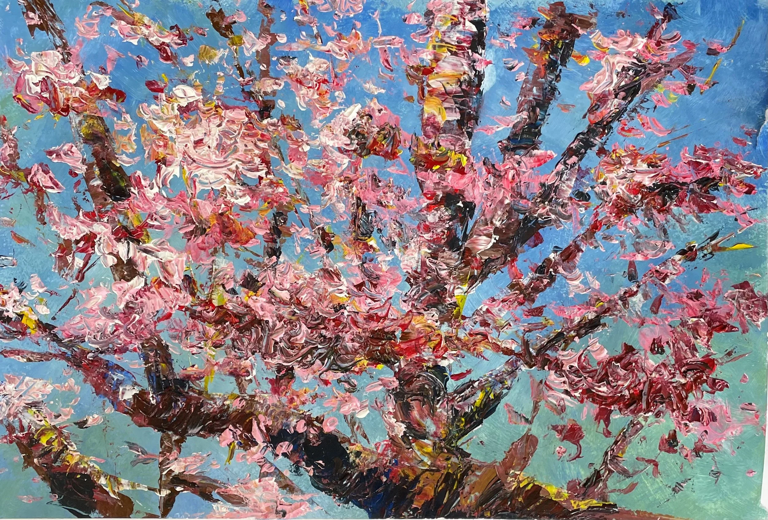Pink Petal Symphony