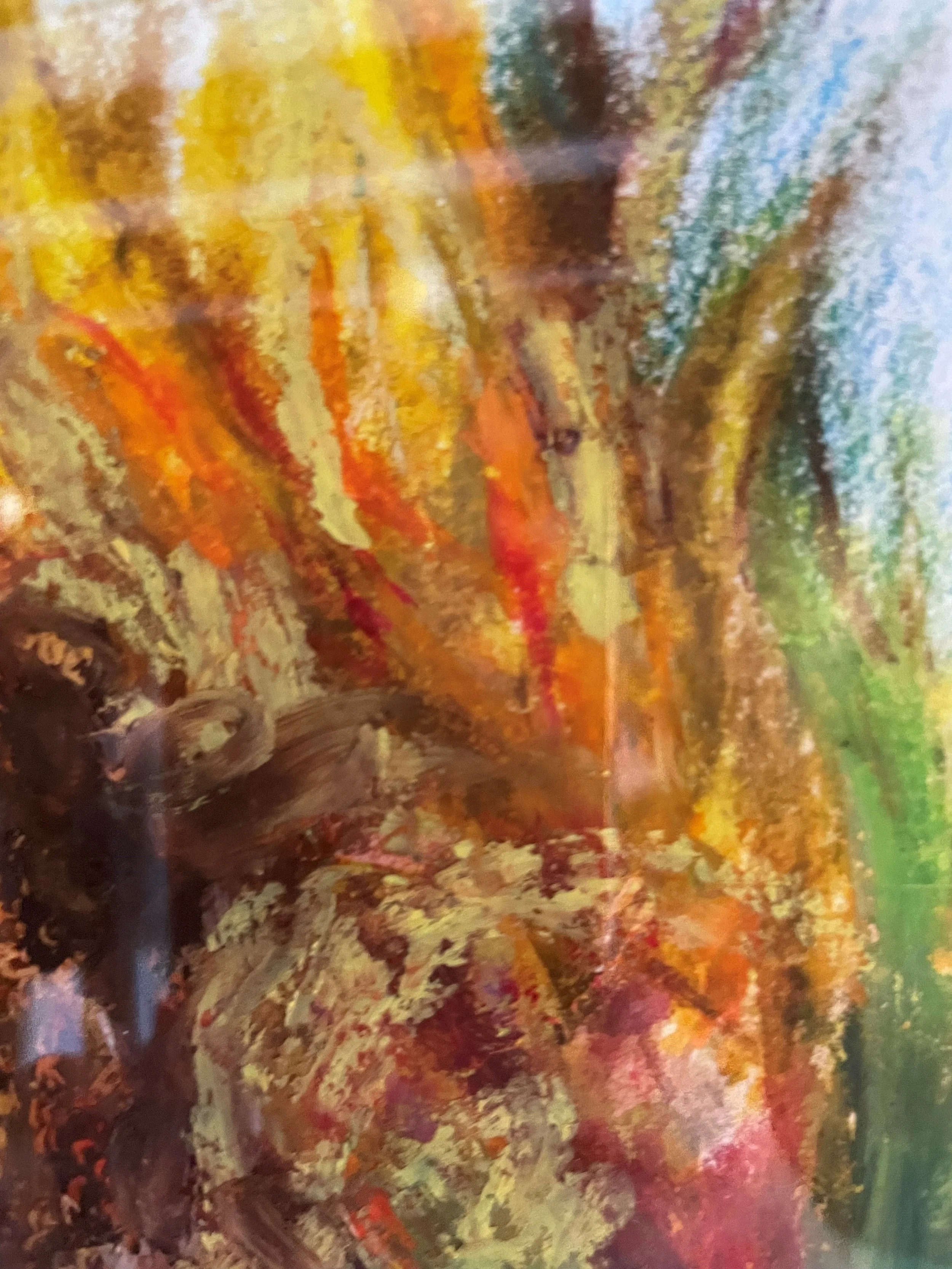 goldenhour close up2.jpg