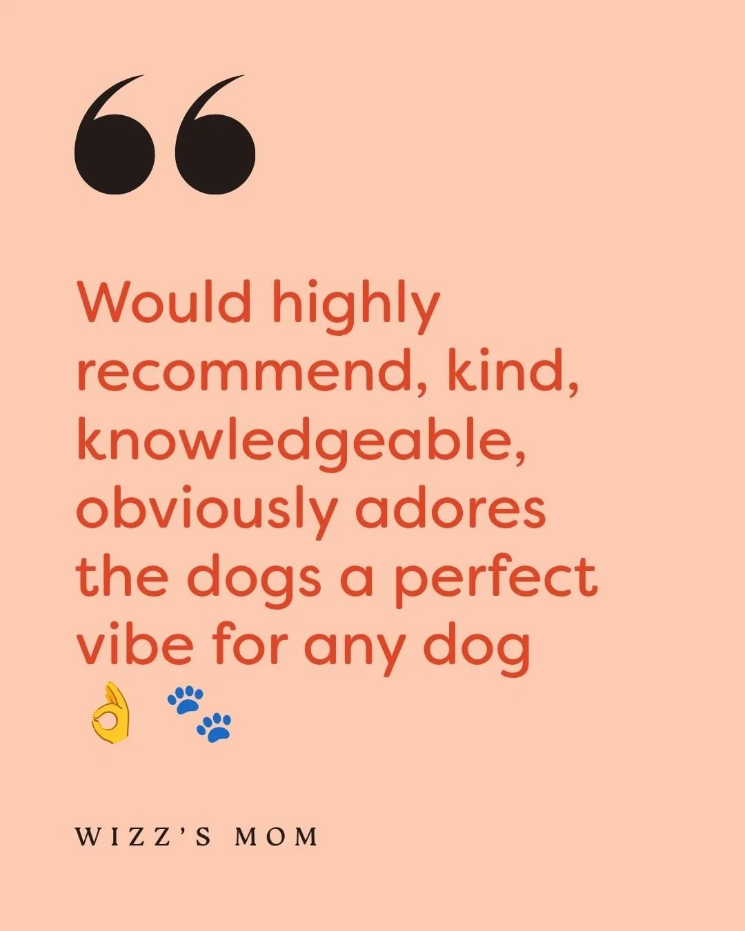 ⭐⭐⭐⭐⭐ More lovely words from my wonderful clients ⭐⭐⭐⭐⭐

Very humbled by the feedback I get 💛 It's the reason I started BOOP - to bring comfort, joy, and a positive grooming experience to pups and their pawparents. 

 #FullBoop #DogGrooming #Chudlei