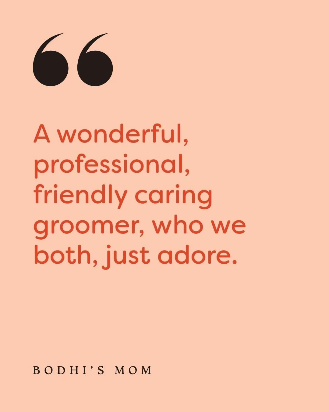 ⭐⭐⭐⭐⭐

Nothing makes us happier than knowing a dog leaves feeling confident, comfortable and loved... and that their humans do too. 🧡

Every review means the world to a small local business like BOOP. Thank you for trusting us with your best friends