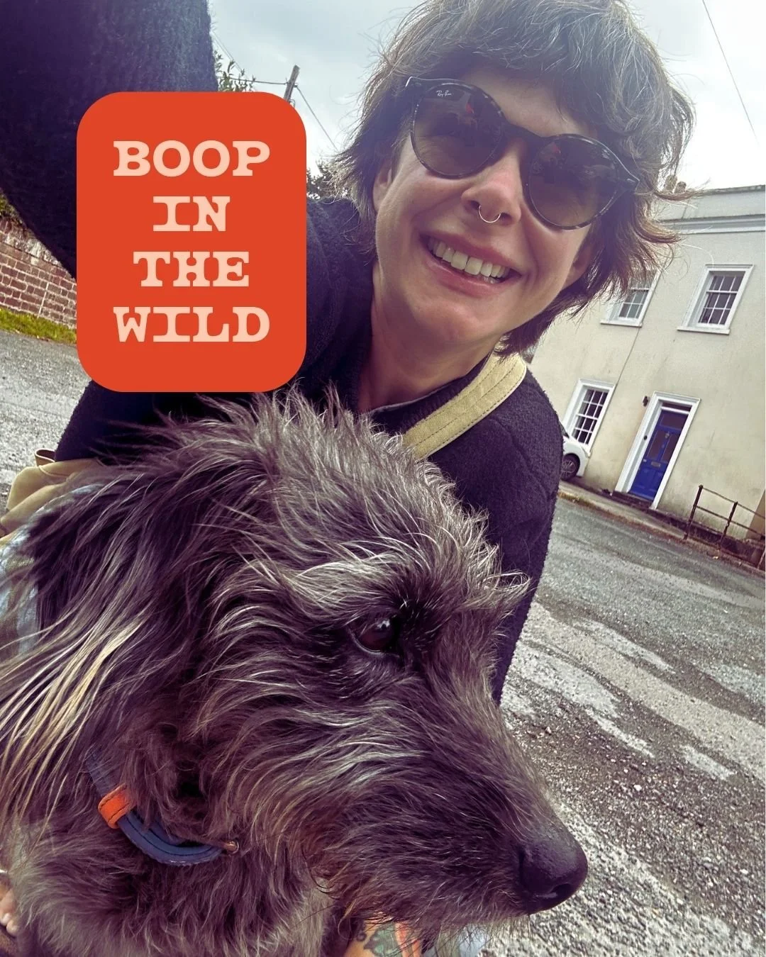 Sometimes we spot our BOOP pups out in the wild&hellip;

Well&hellip; on the streets of Teignmouth. 😂🧡

And honestly, it is PURE JOY seeing those happy little faces and waggy tails coming towards us.

Whether you&rsquo;re booked in, freshly Booped 