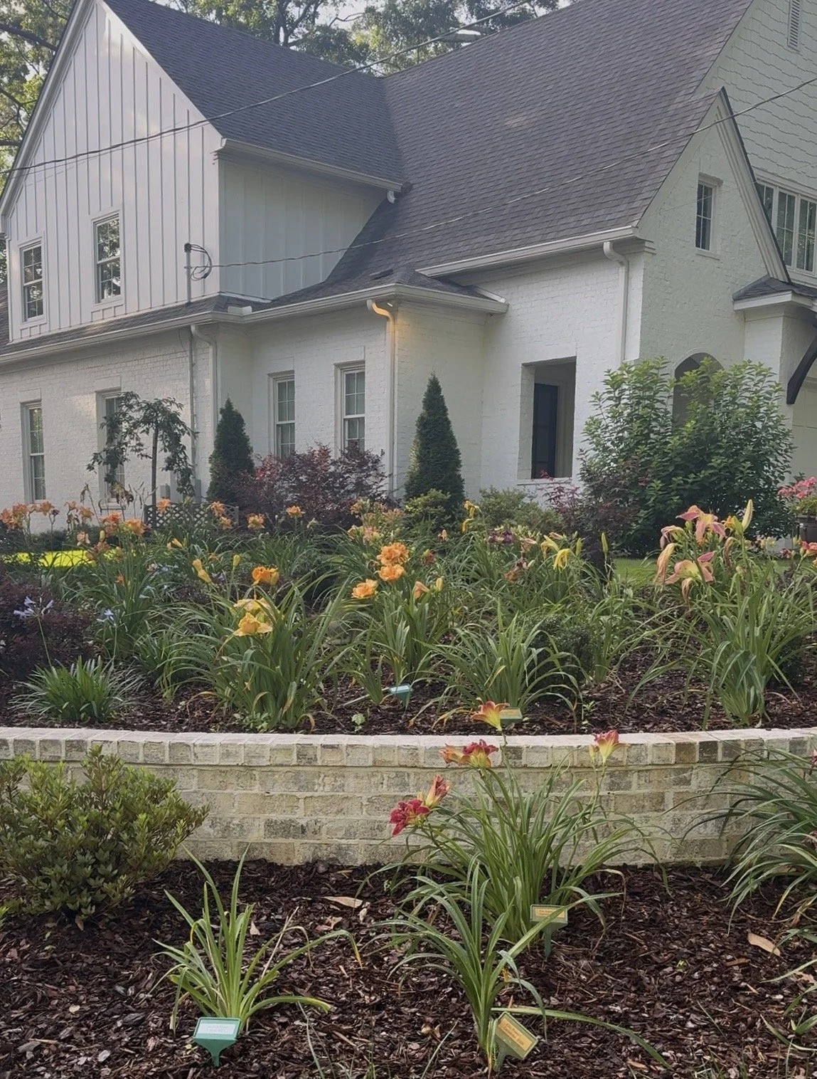 Flourish Anyway® Today: Blooming Day Lilies and Nourishing Rhythms