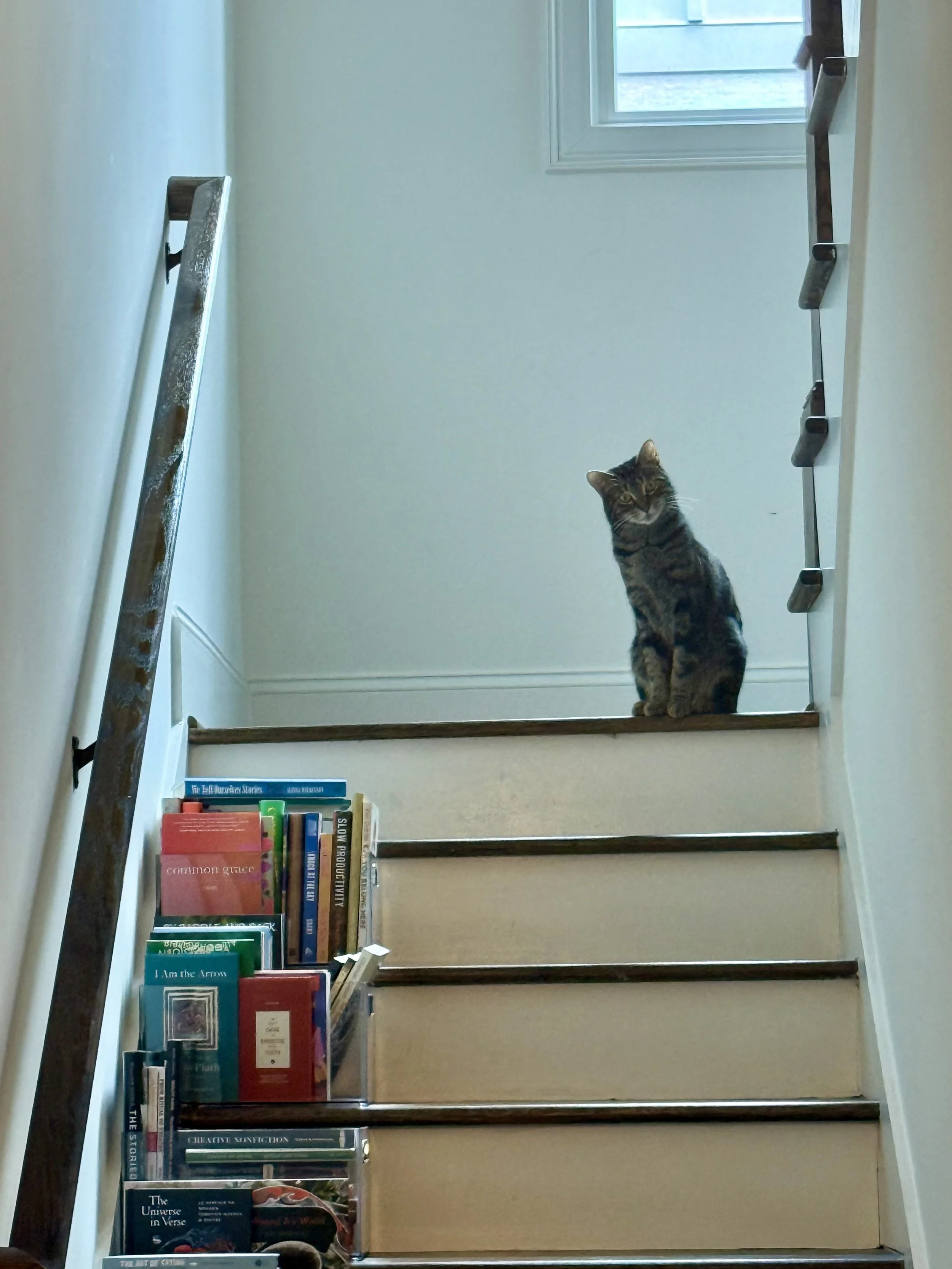 Flourish Anyway® Today: A Summer Houseguest