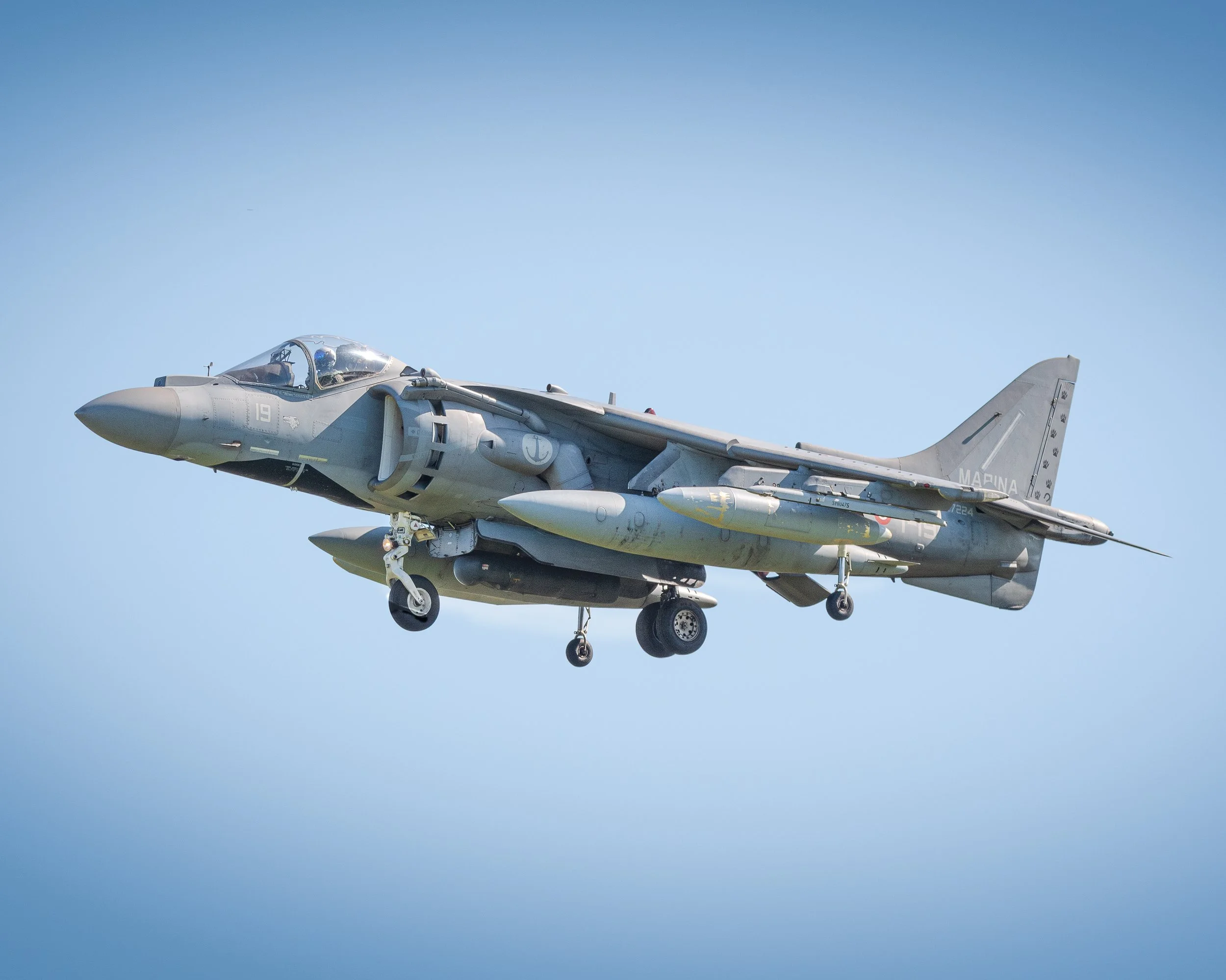 DSC_6507-Avec accentuation-Bruit-1.jpg