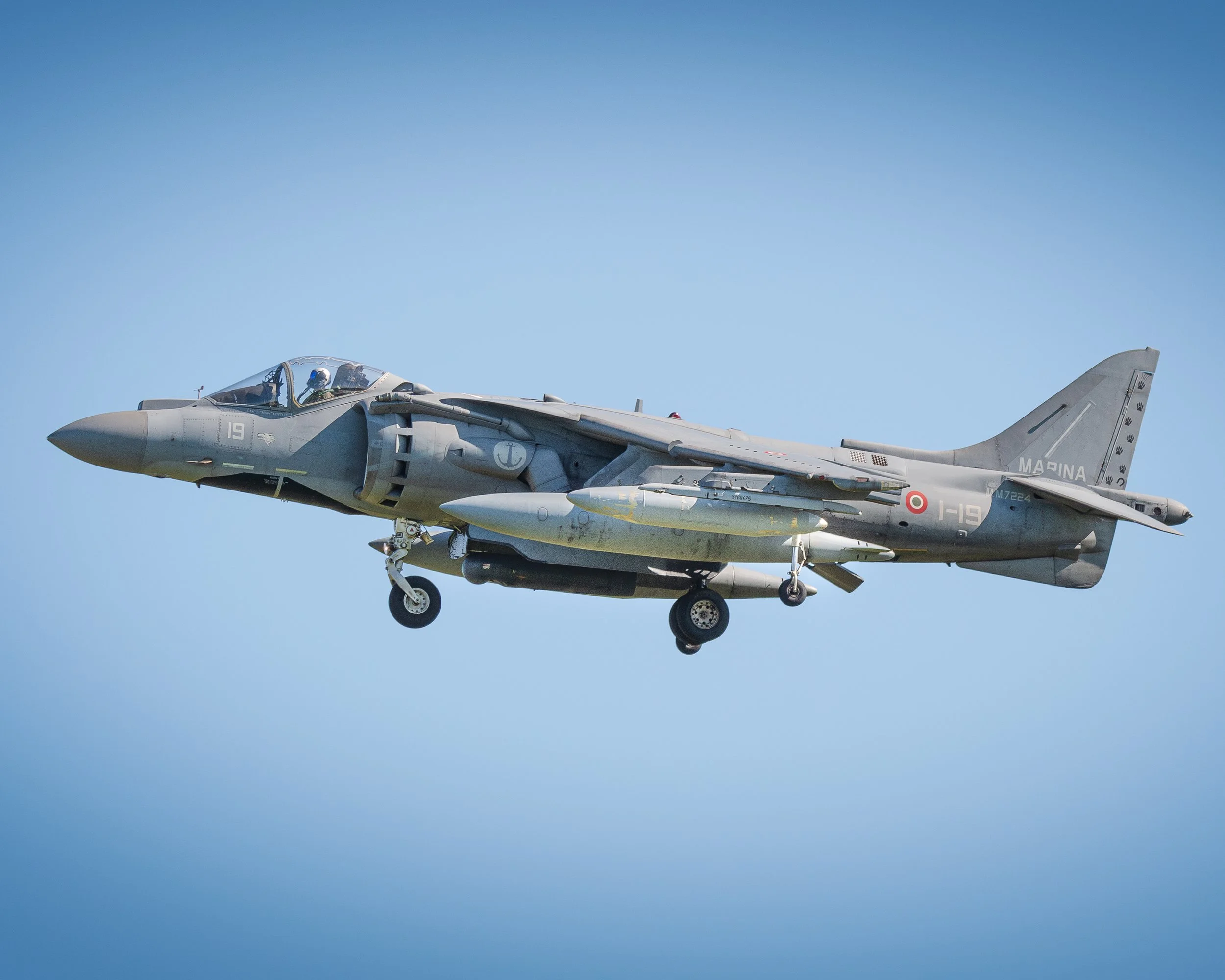 DSC_6516-Avec accentuation-Bruit-1.jpg