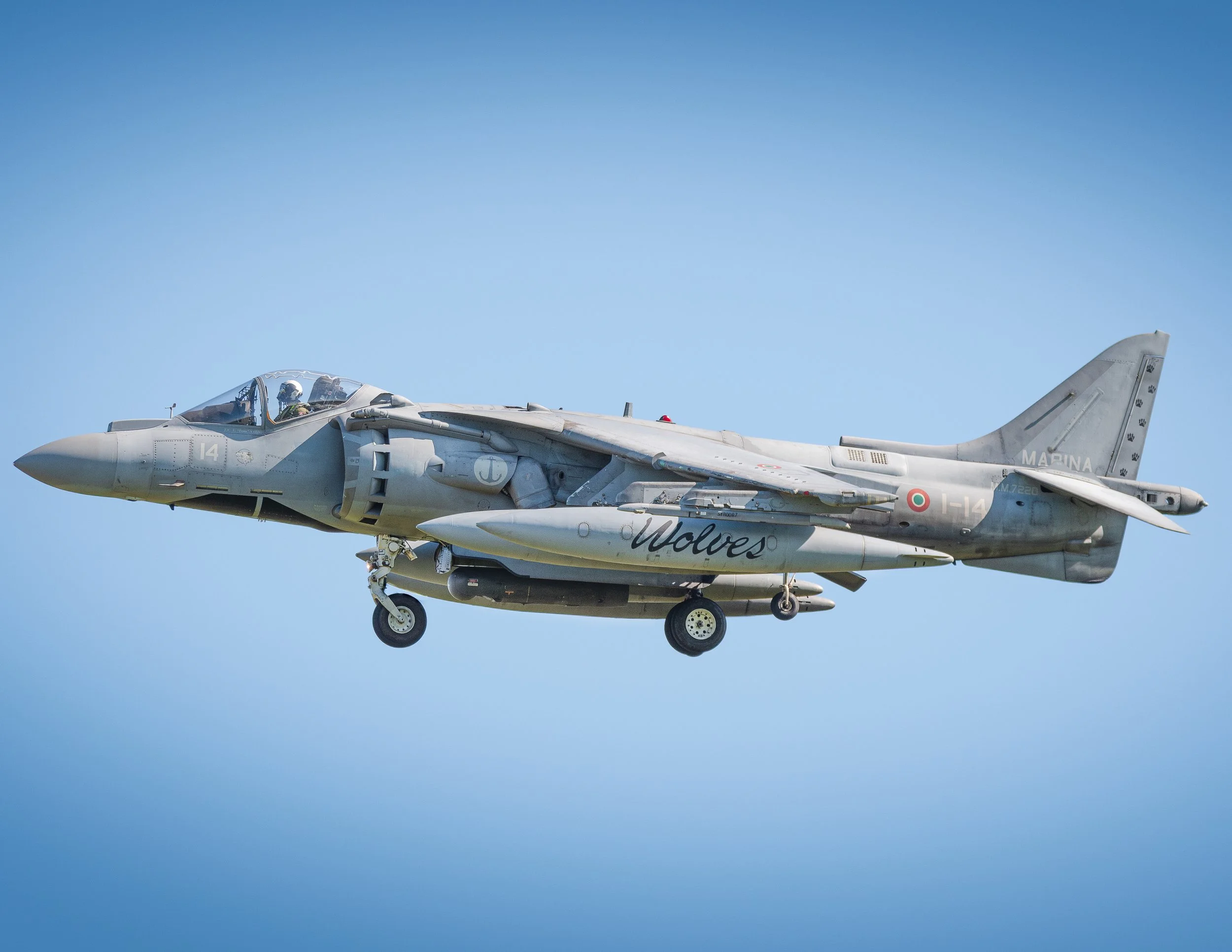 DSC_6469-Avec accentuation-Bruit-1.jpg