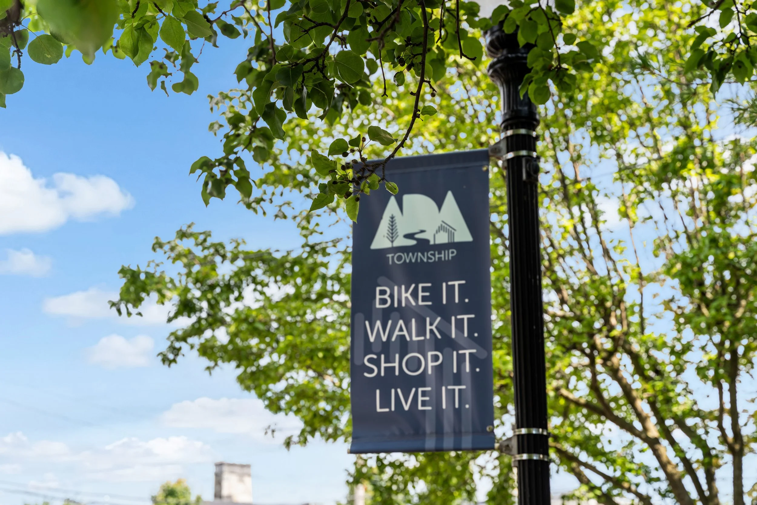 A street sign attached to a black lamppost, with green tree leaves overhead and a blue sky with some clouds in the background. The sign reads 'Township, Bike It, Walk It, Shop It, Live It' and features icons of a tree, a house, and a person walking.